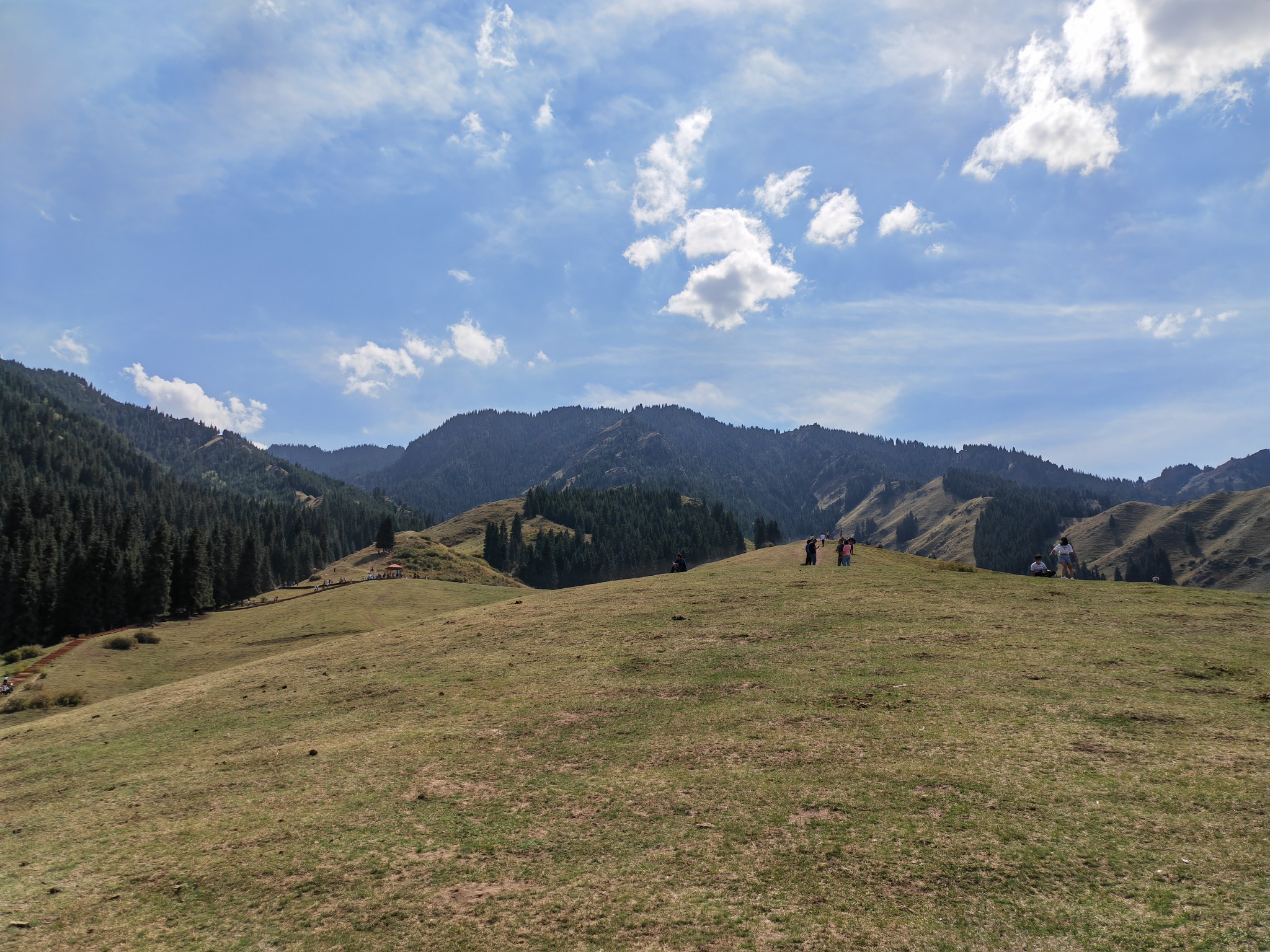 IMG_20210828_161455.jpg