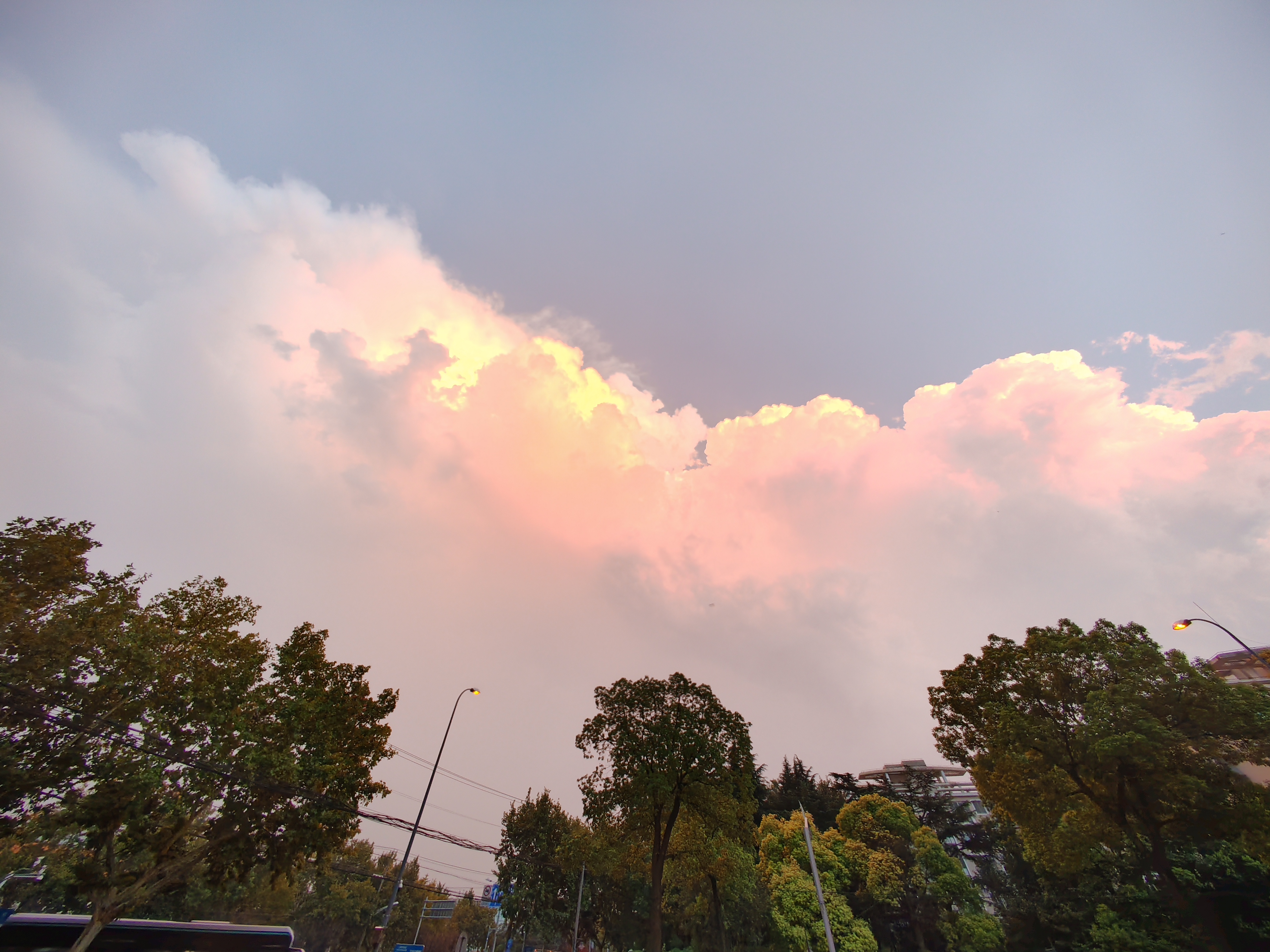 IMG_20210828_182608.jpg