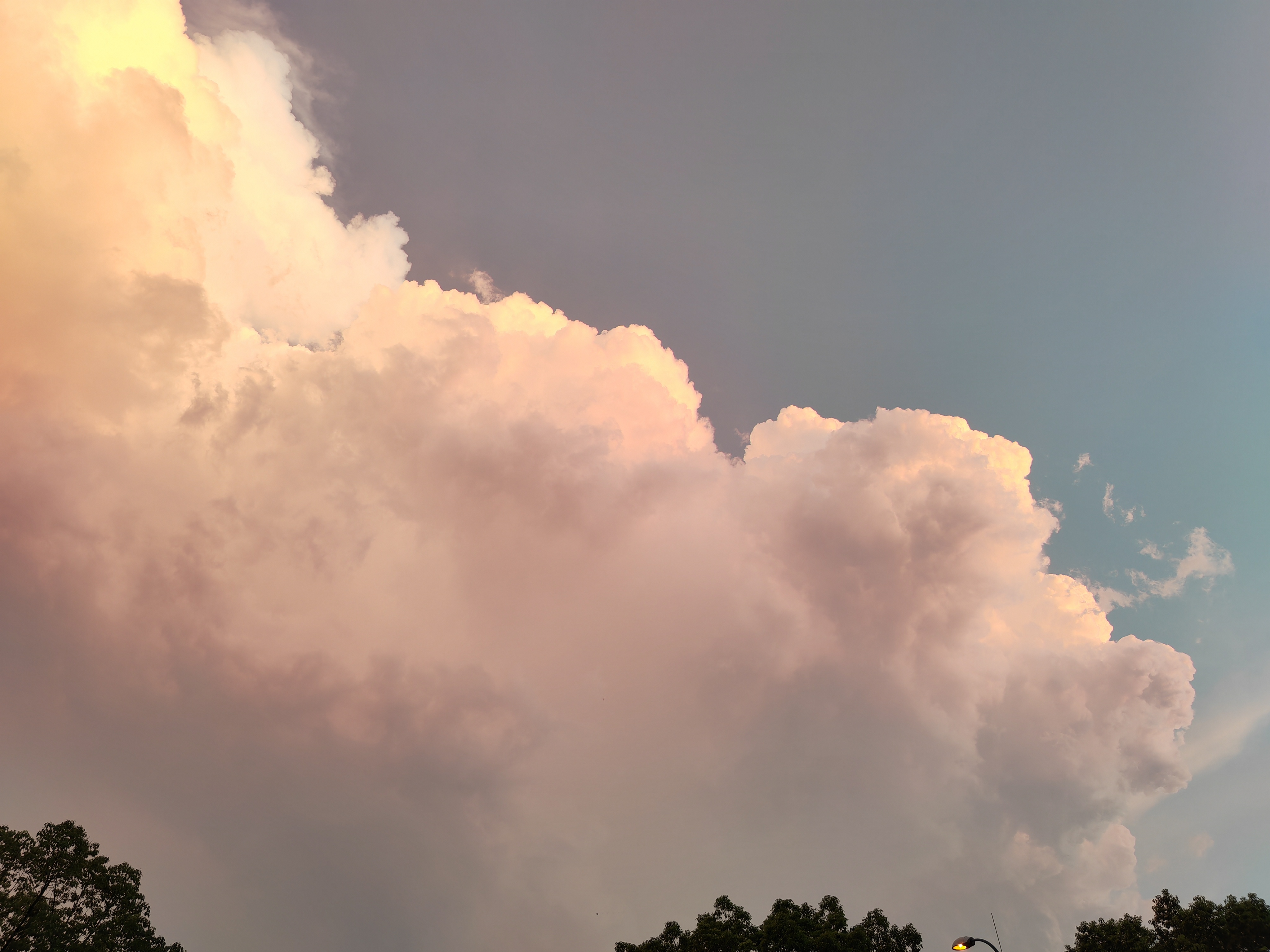 IMG_20210828_182631.jpg