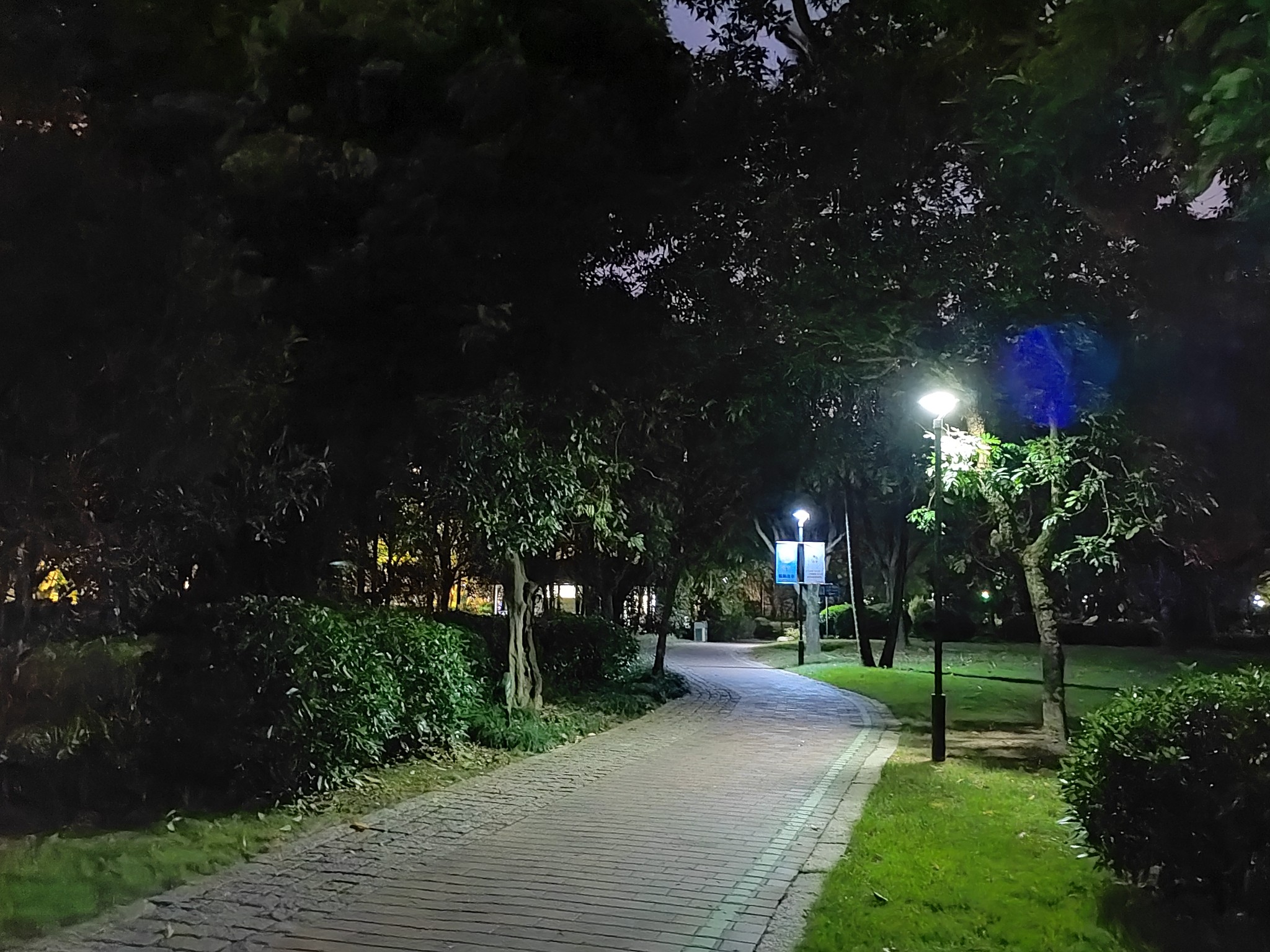 IMG_20210827_211955.jpg