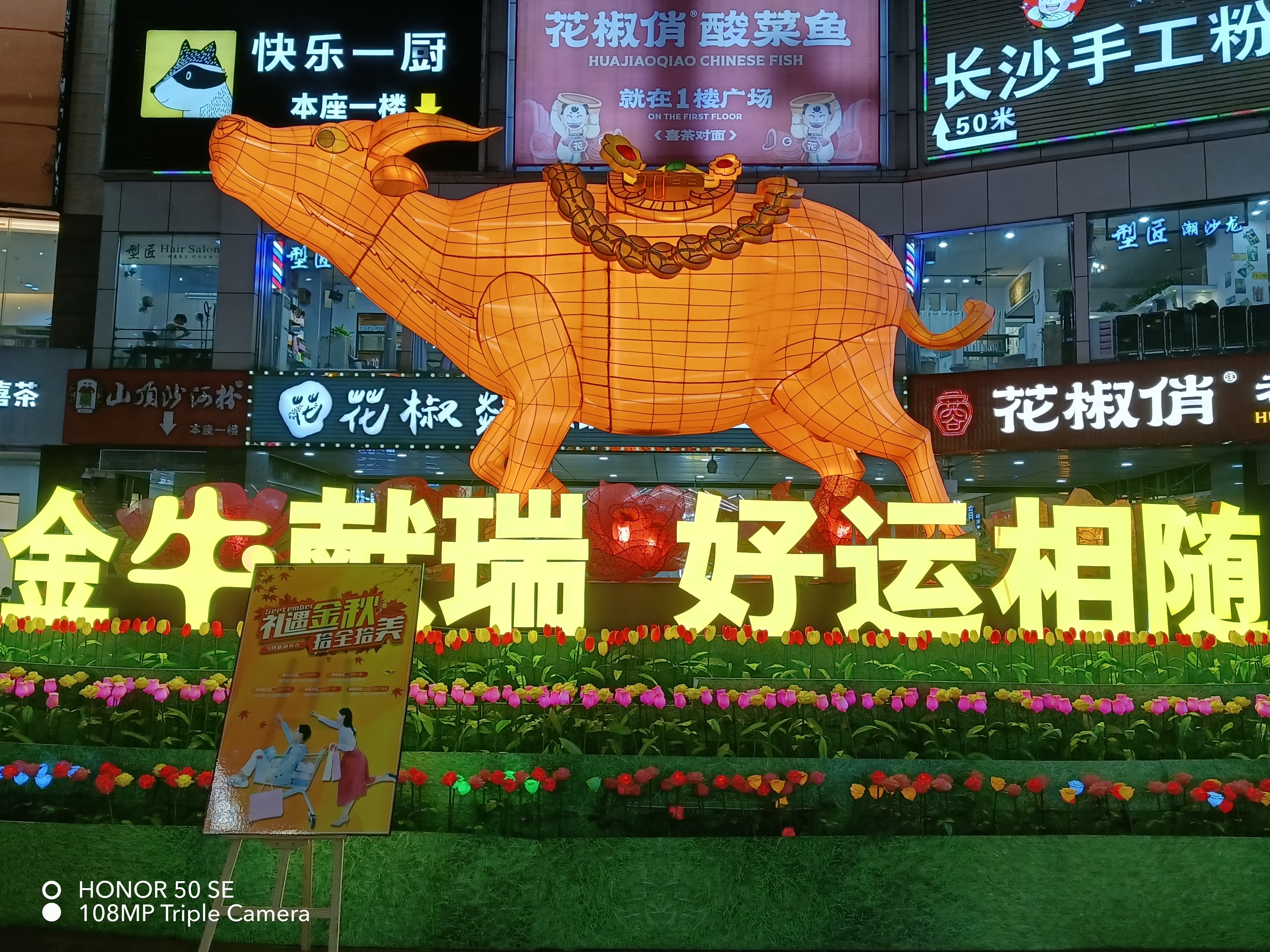 IMG_20210829_201309.jpg