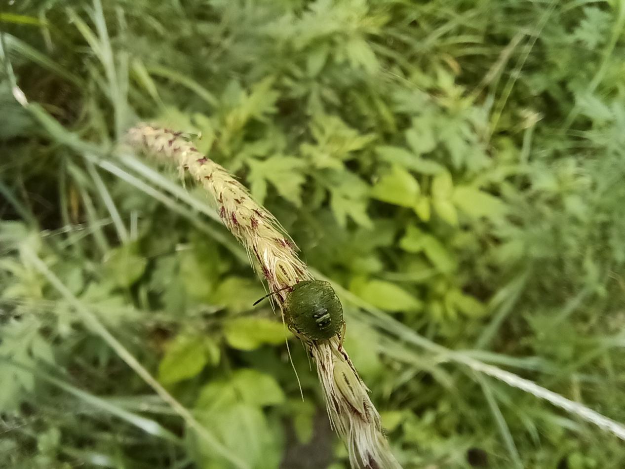 205807p19cmkxixsesrlhi.jpeg