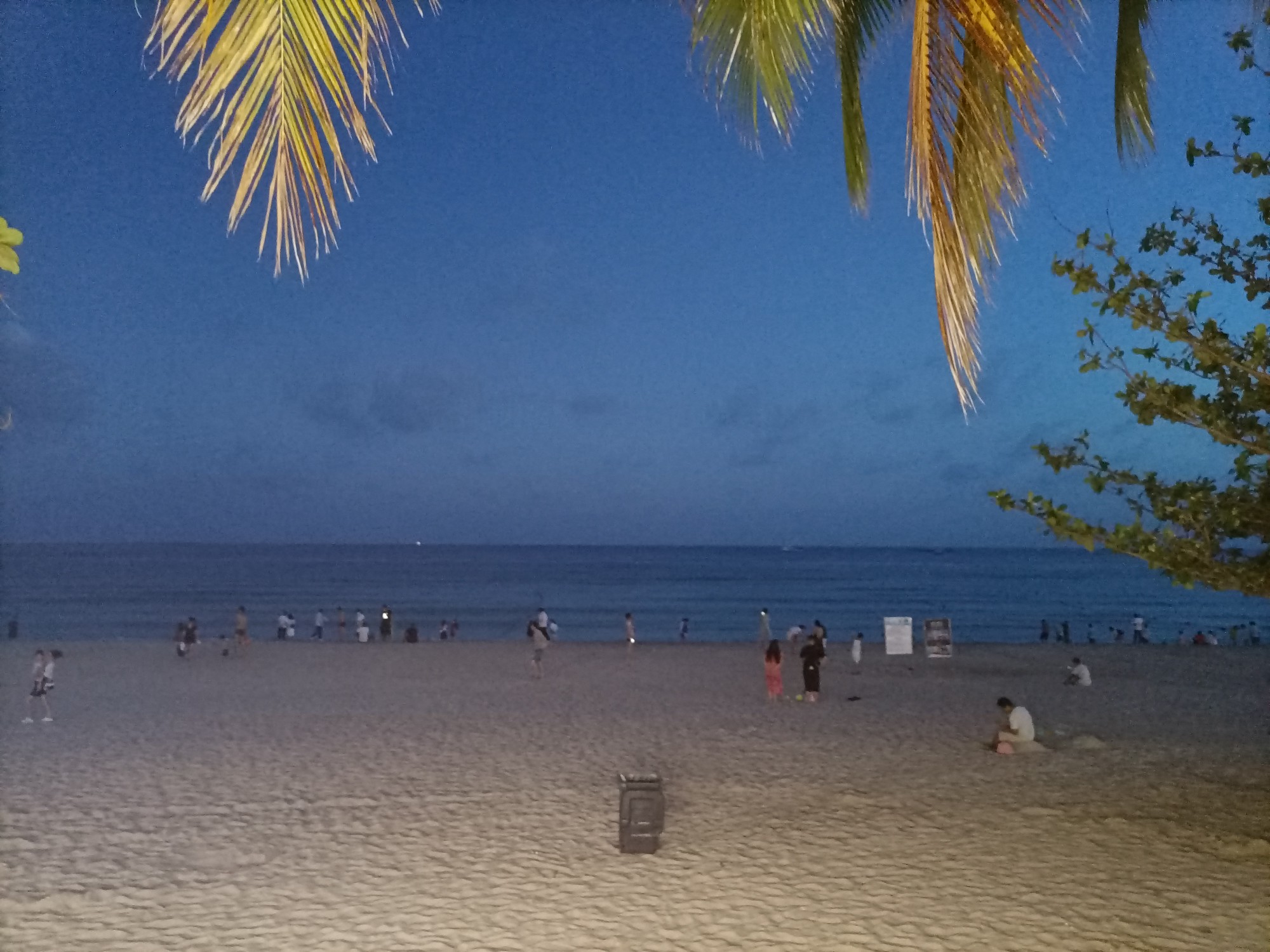 IMG_20210516_193241.jpg