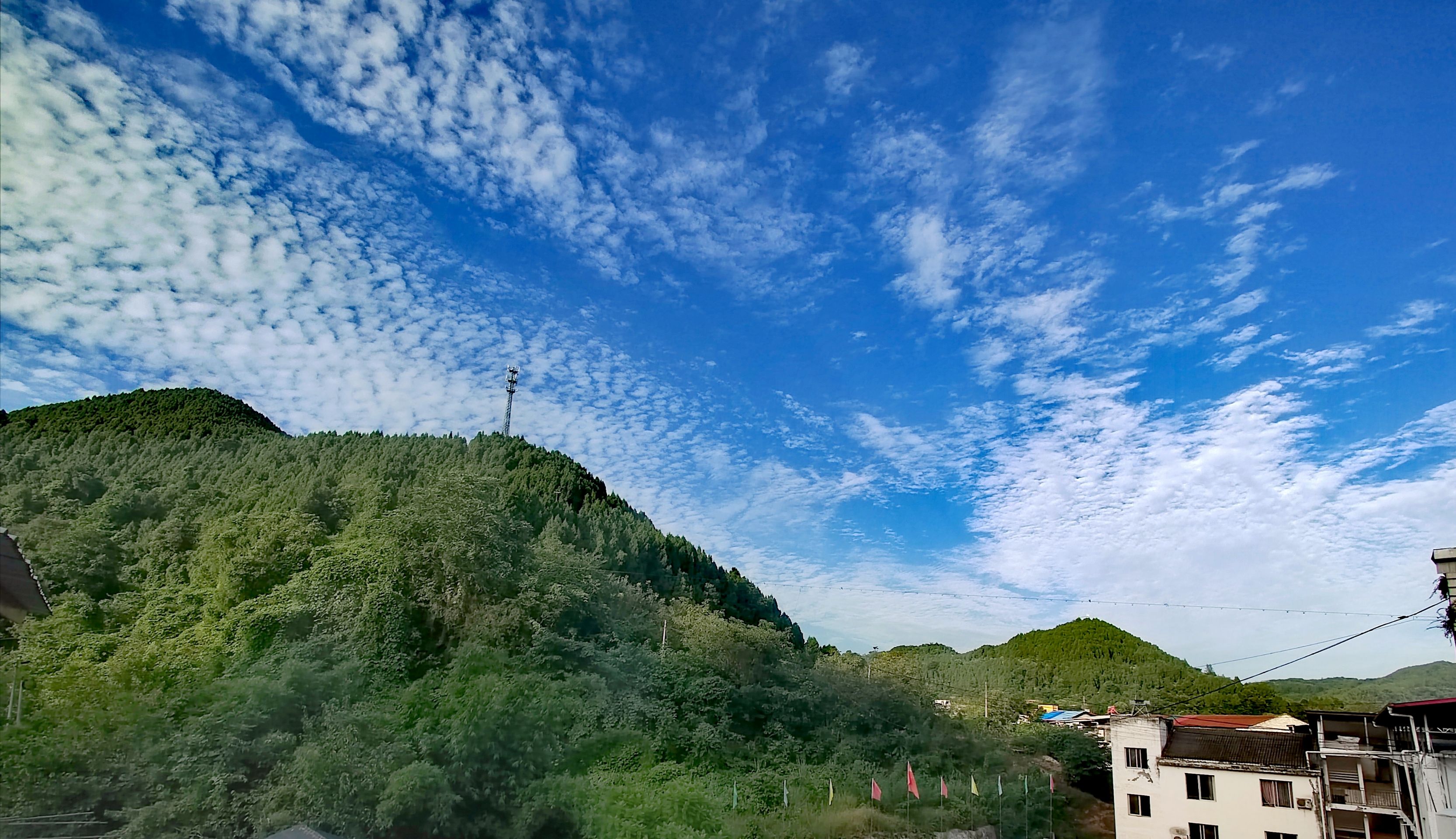 IMG_20210828_181813.jpg