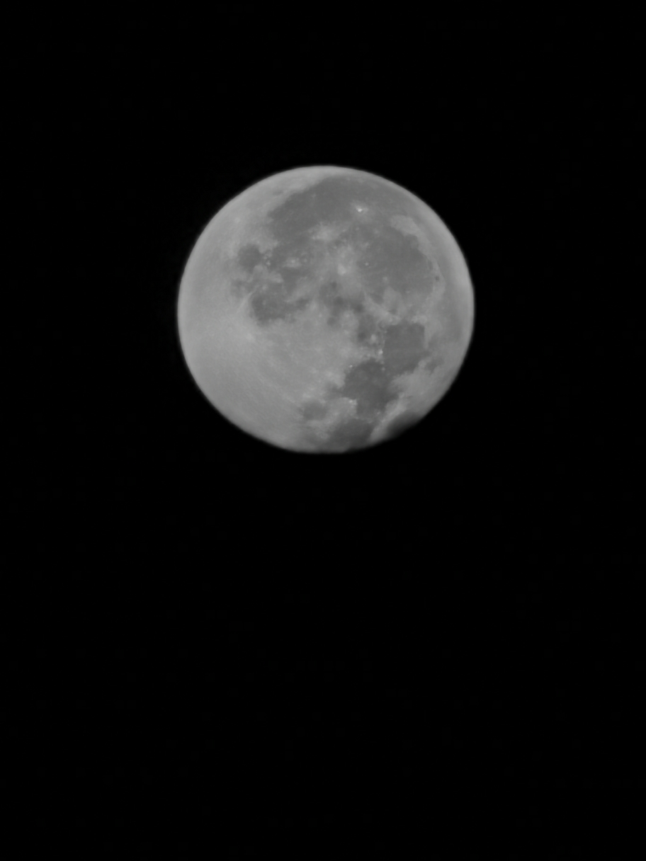 IMG_20201202_053657.jpg