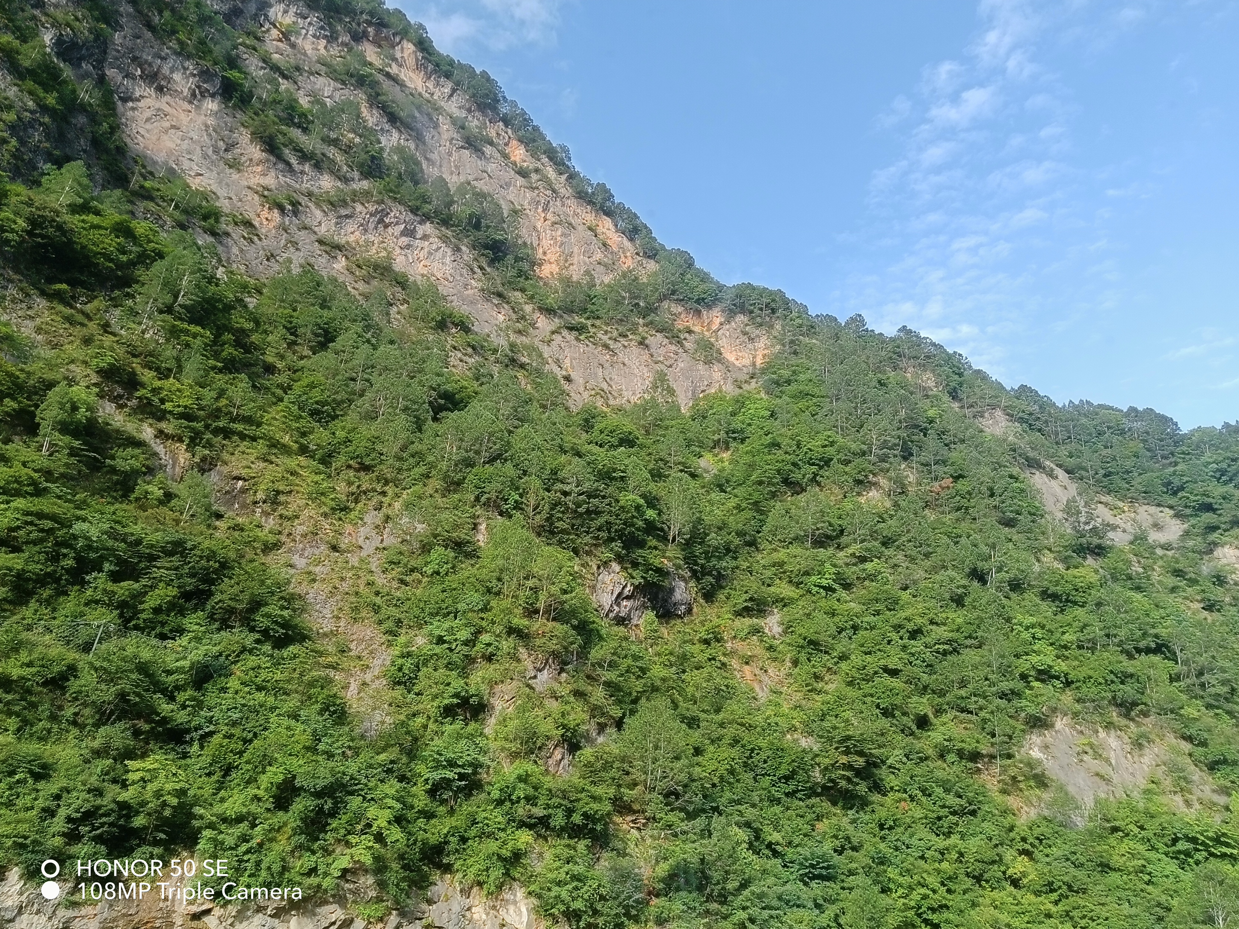 IMG_20210727_173429.jpg