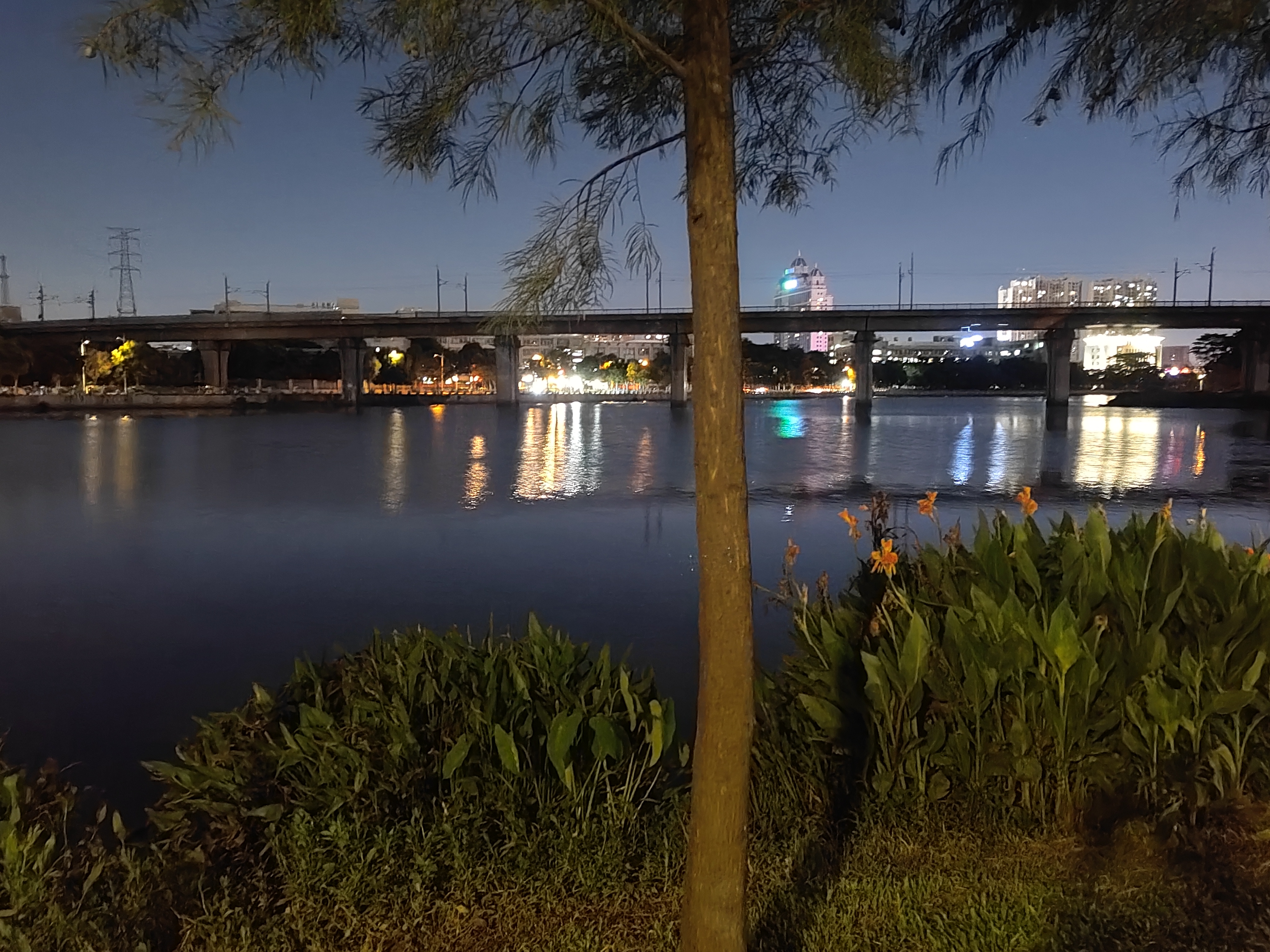 IMG_20210822_224725.jpg