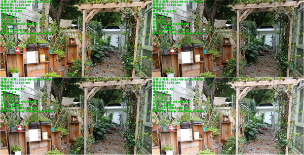 1 (4).png
