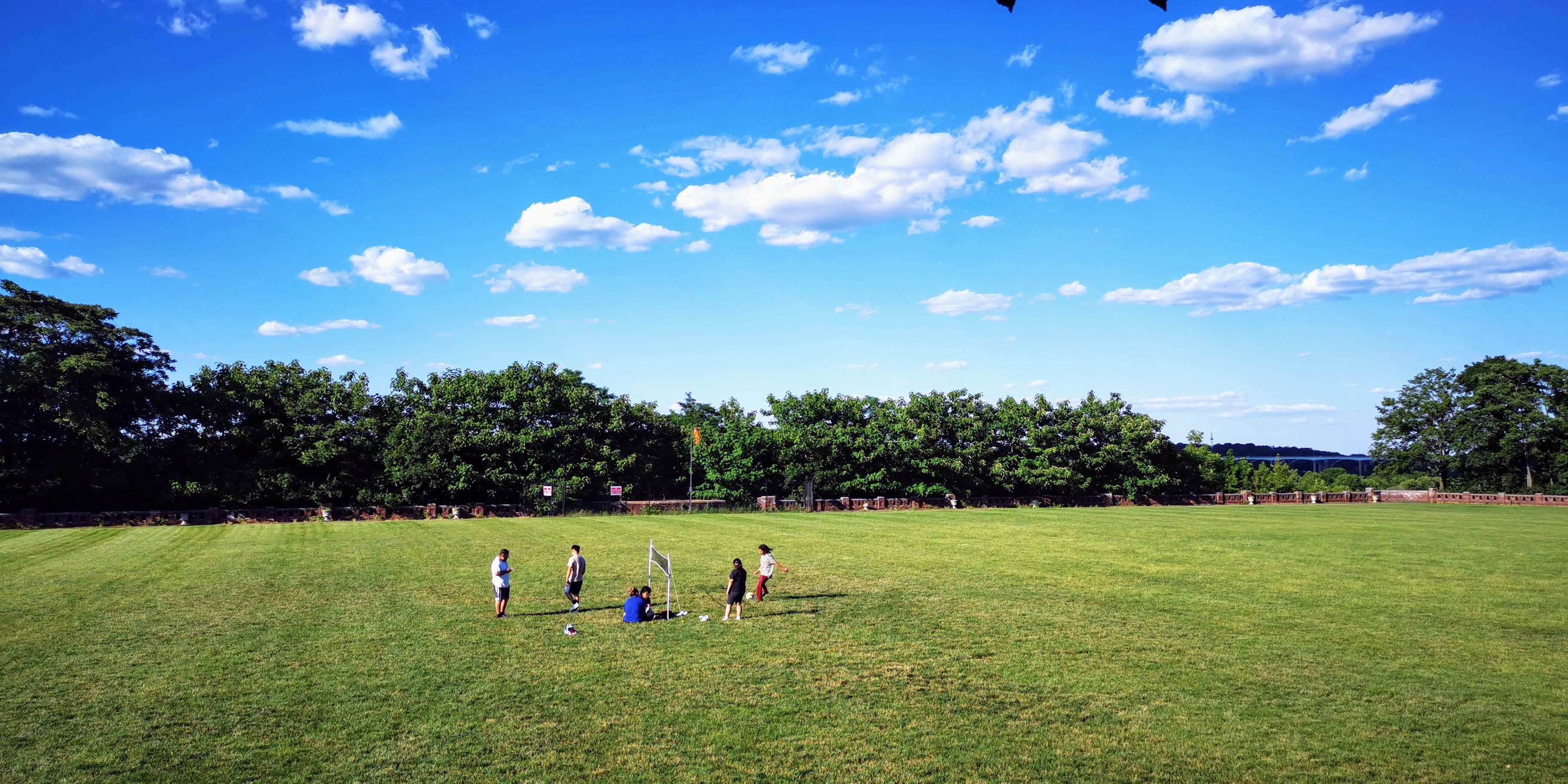 IMG_20210617_175411.jpg