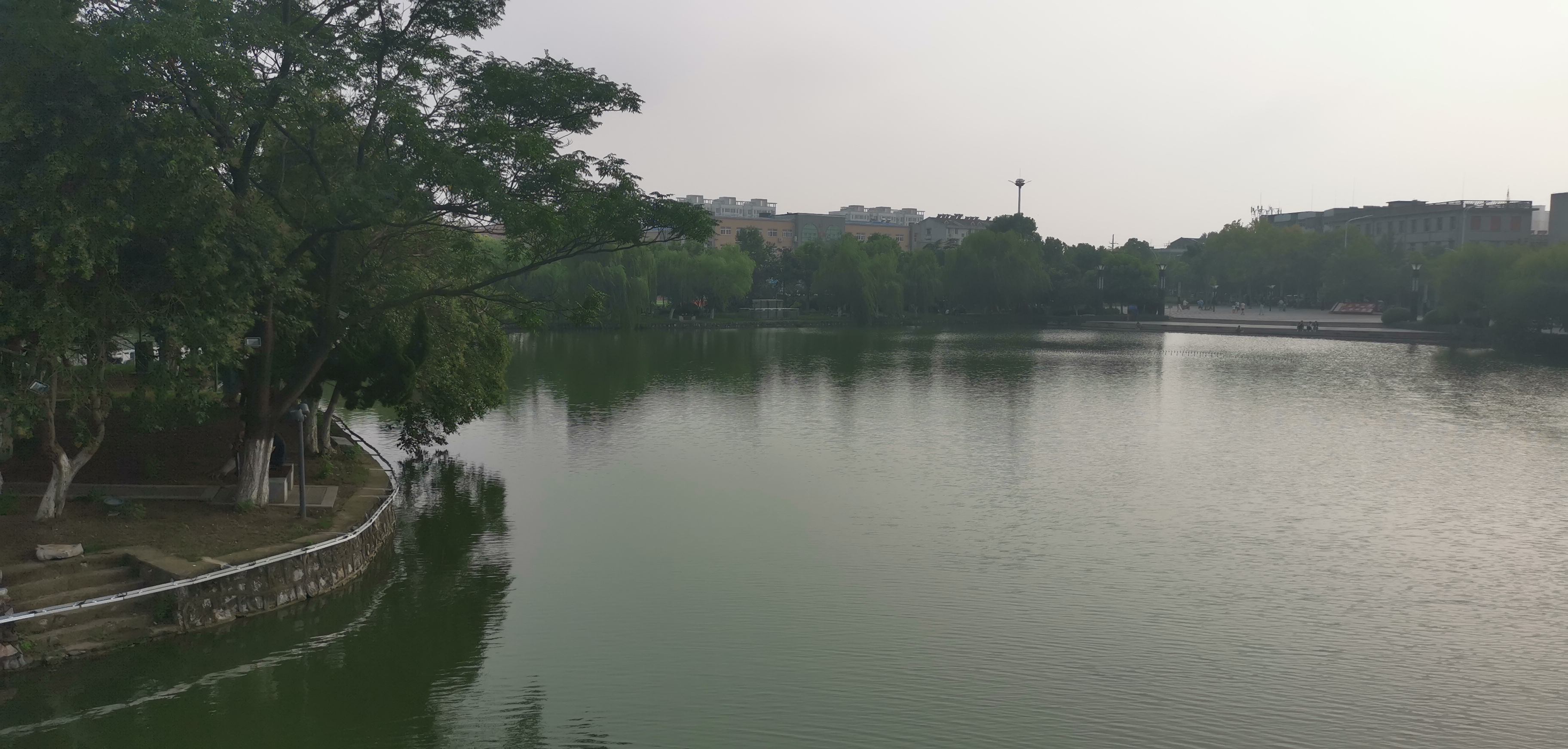 IMG_20210829_165545.jpg