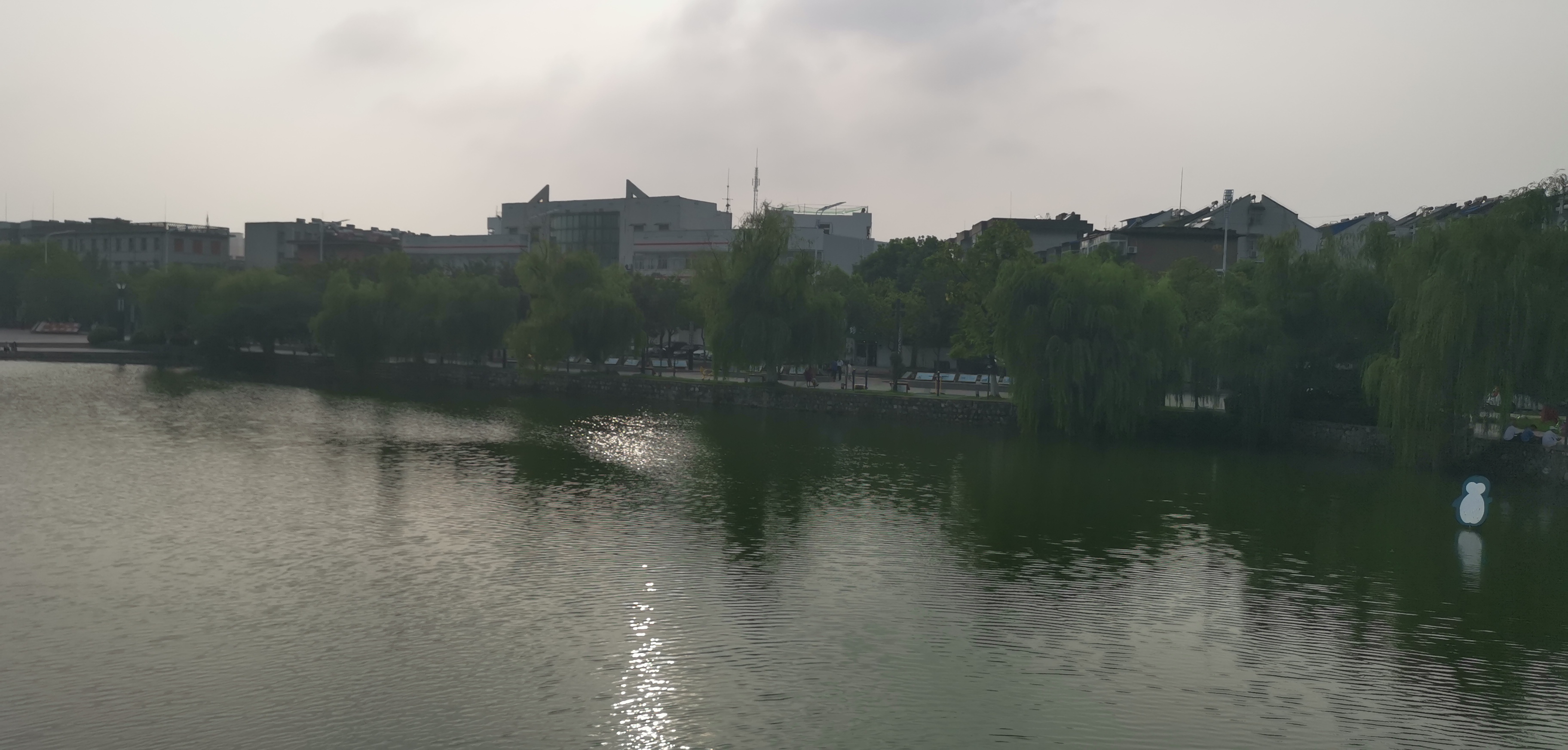 IMG_20210829_165540.jpg