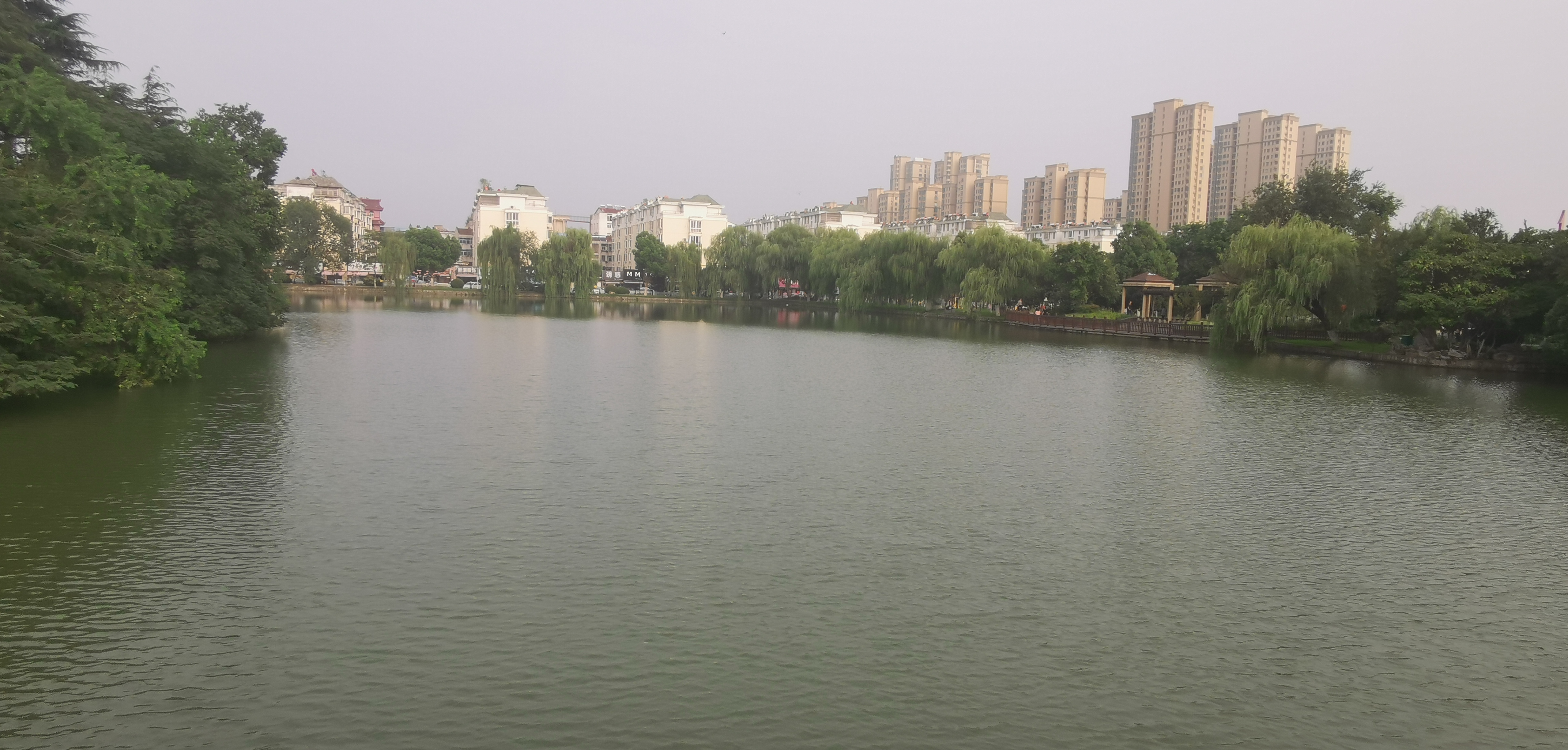IMG_20210829_165753.jpg