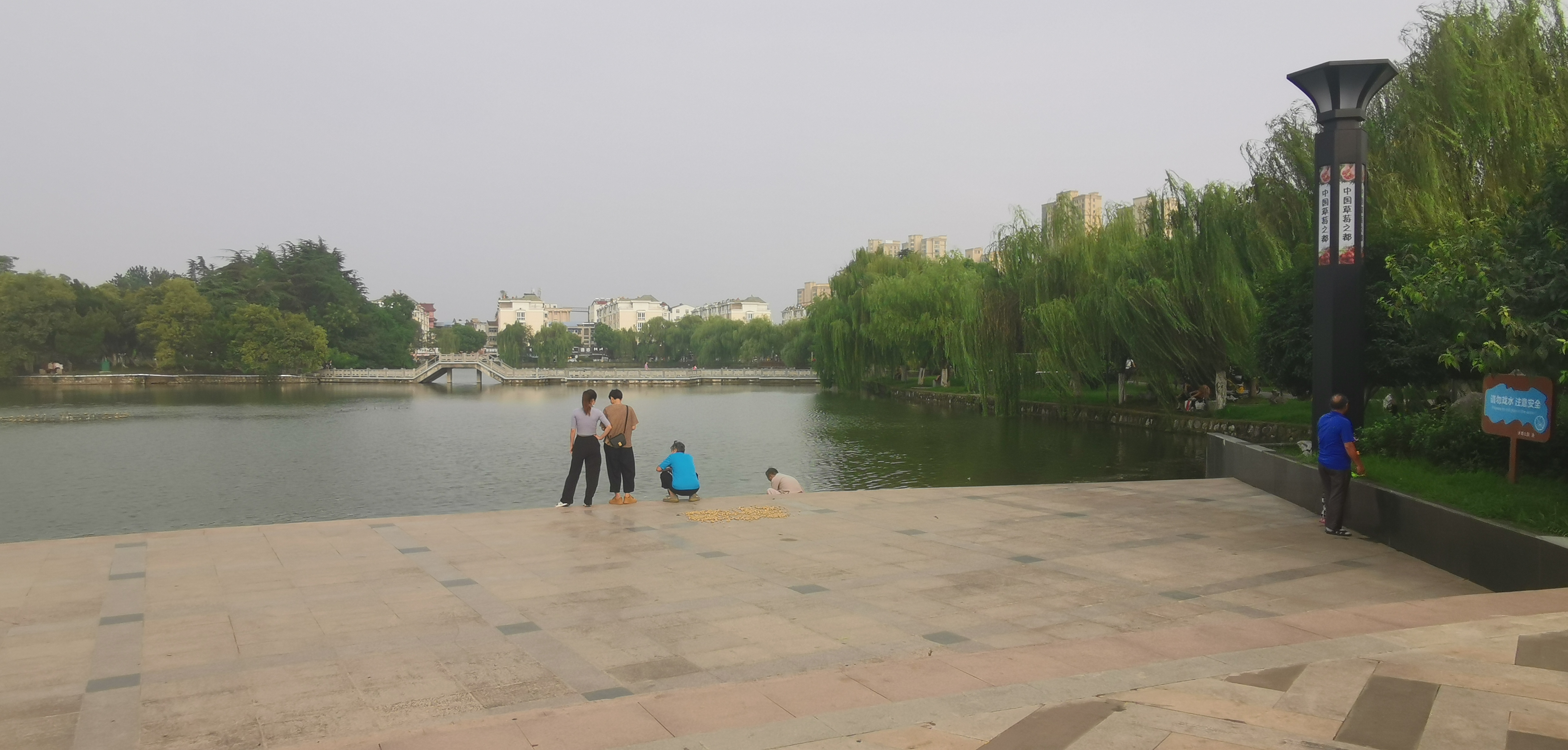 IMG_20210829_170136.jpg