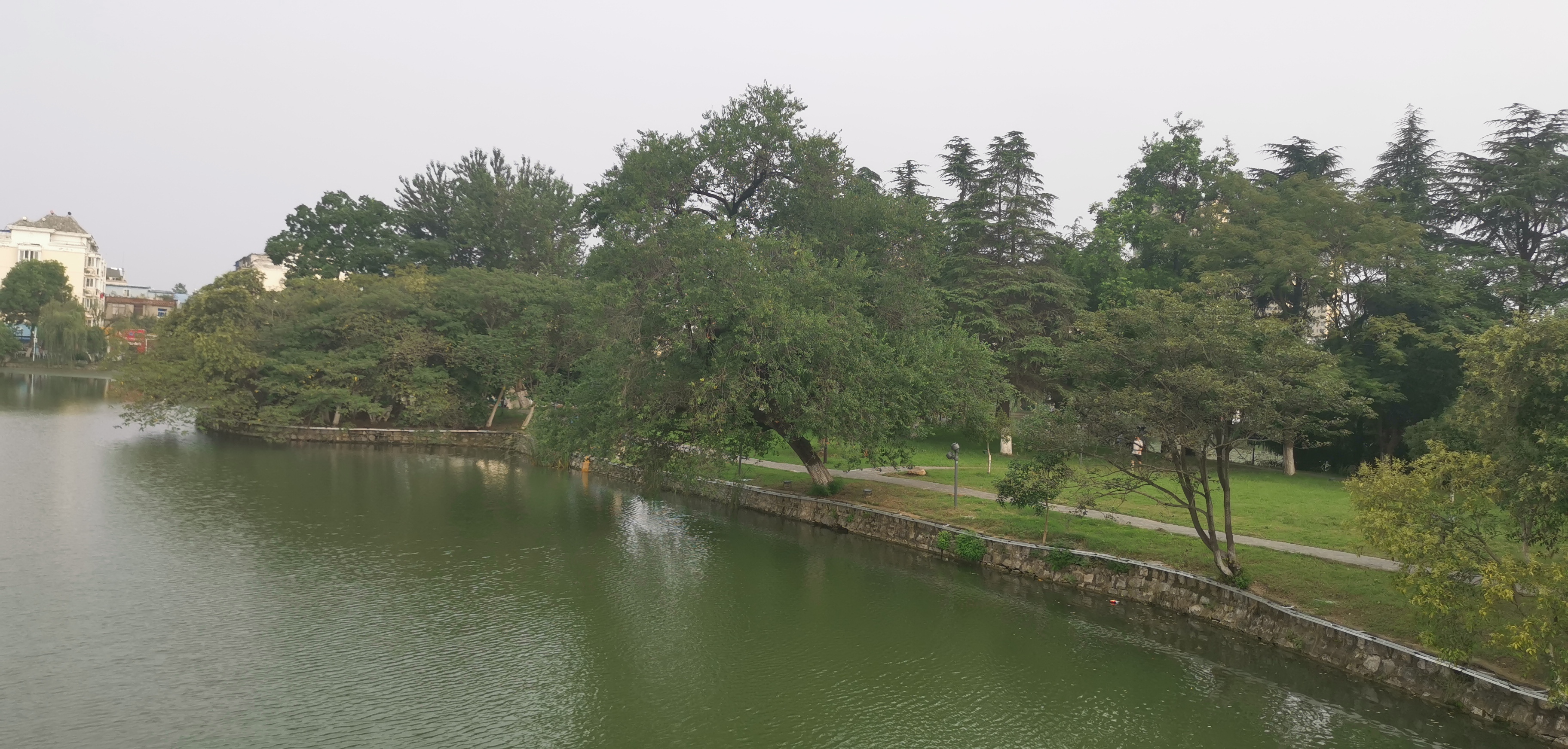 IMG_20210829_165529.jpg