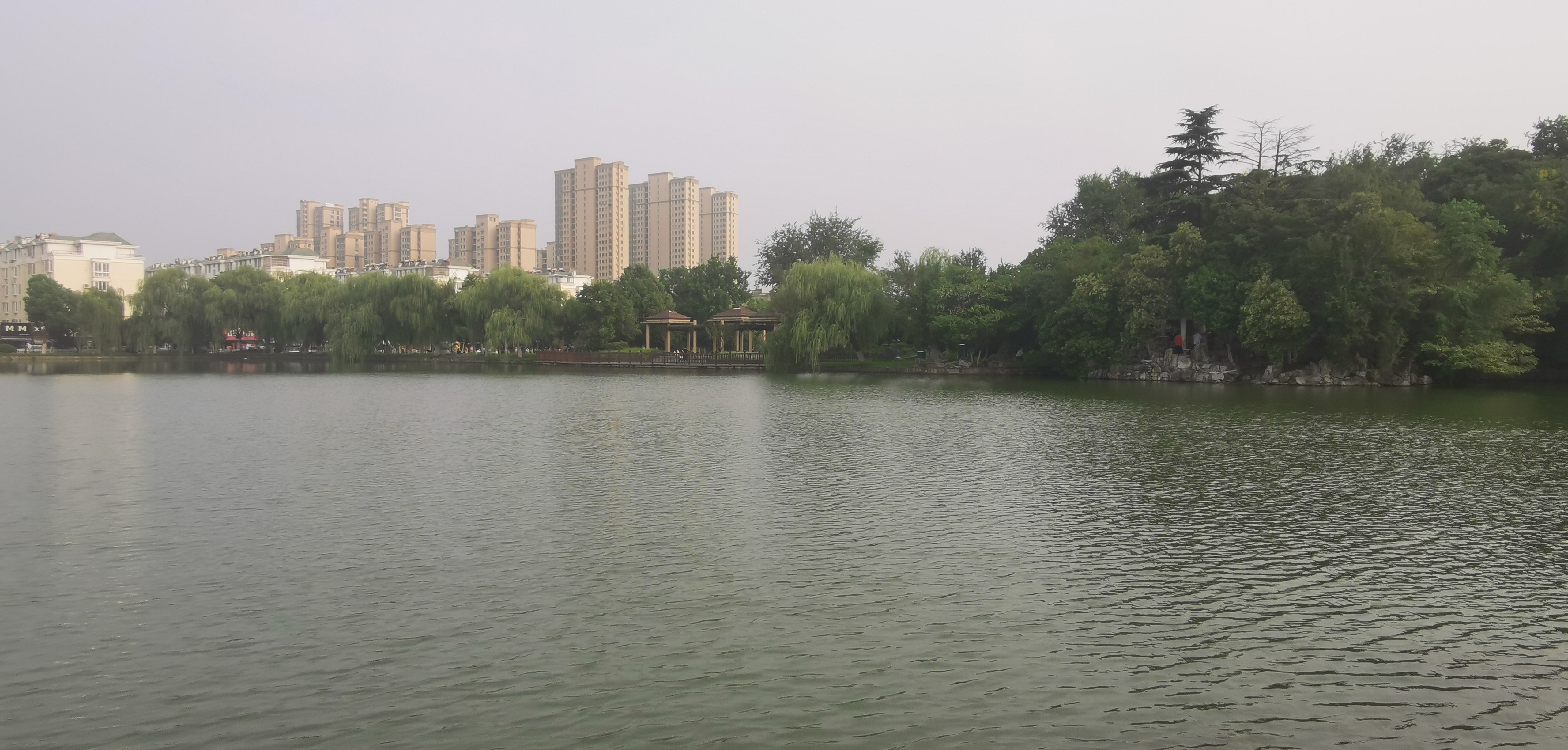 IMG_20210829_165731.jpg