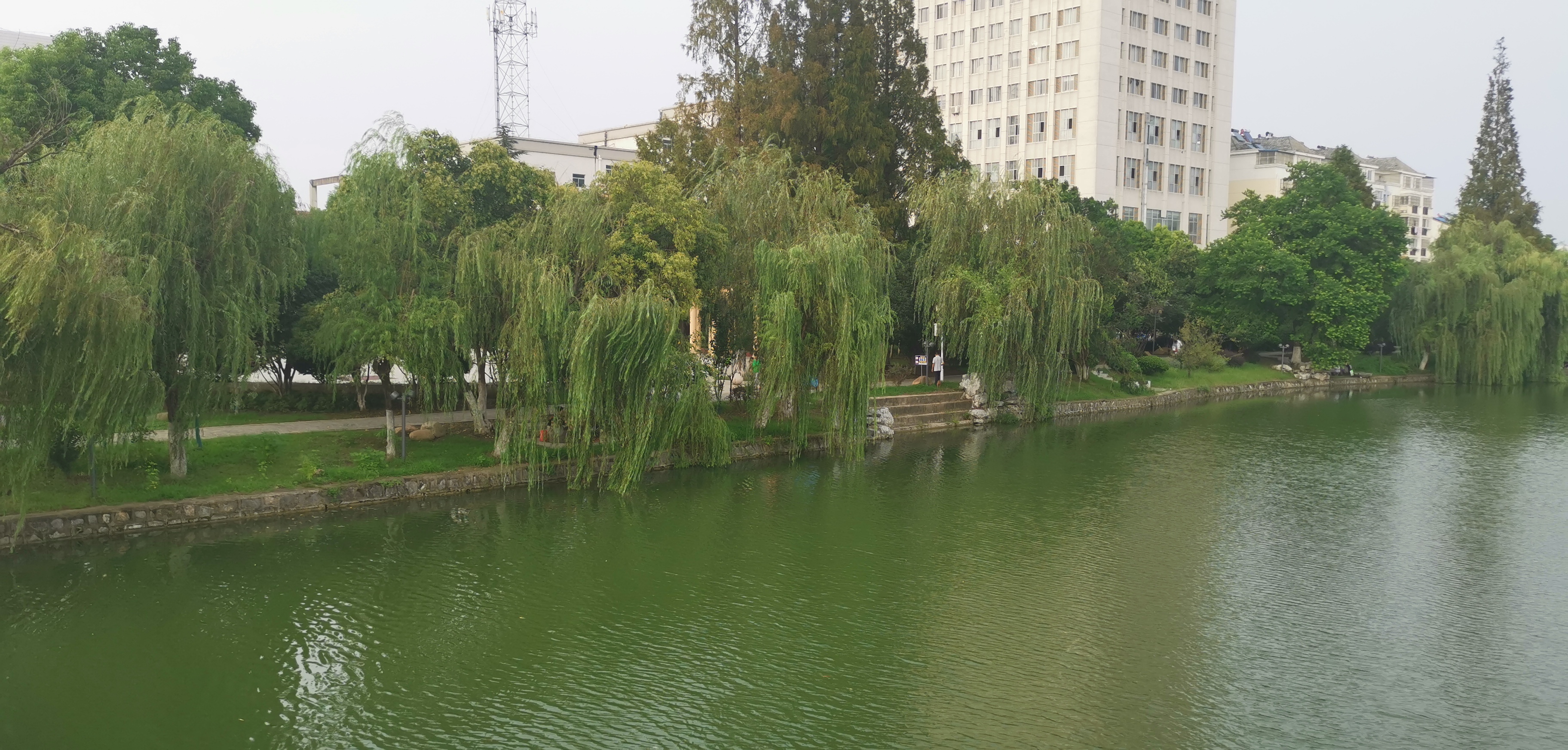 IMG_20210829_165522.jpg