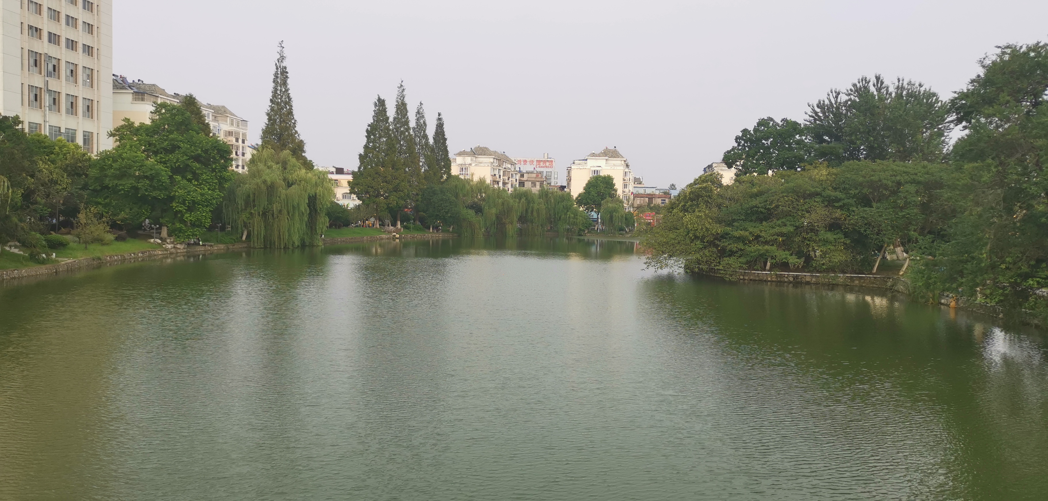 IMG_20210829_165525.jpg