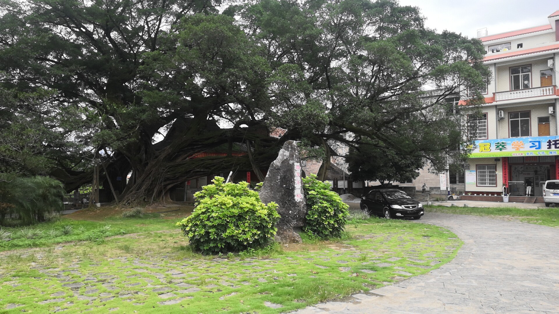 IMG_20210622_135600.jpg