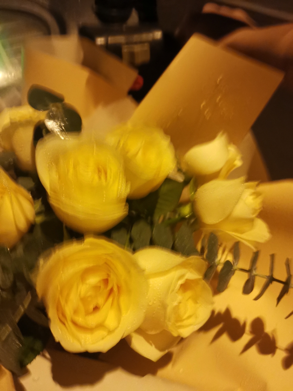 IMG_20210829_225519.jpg
