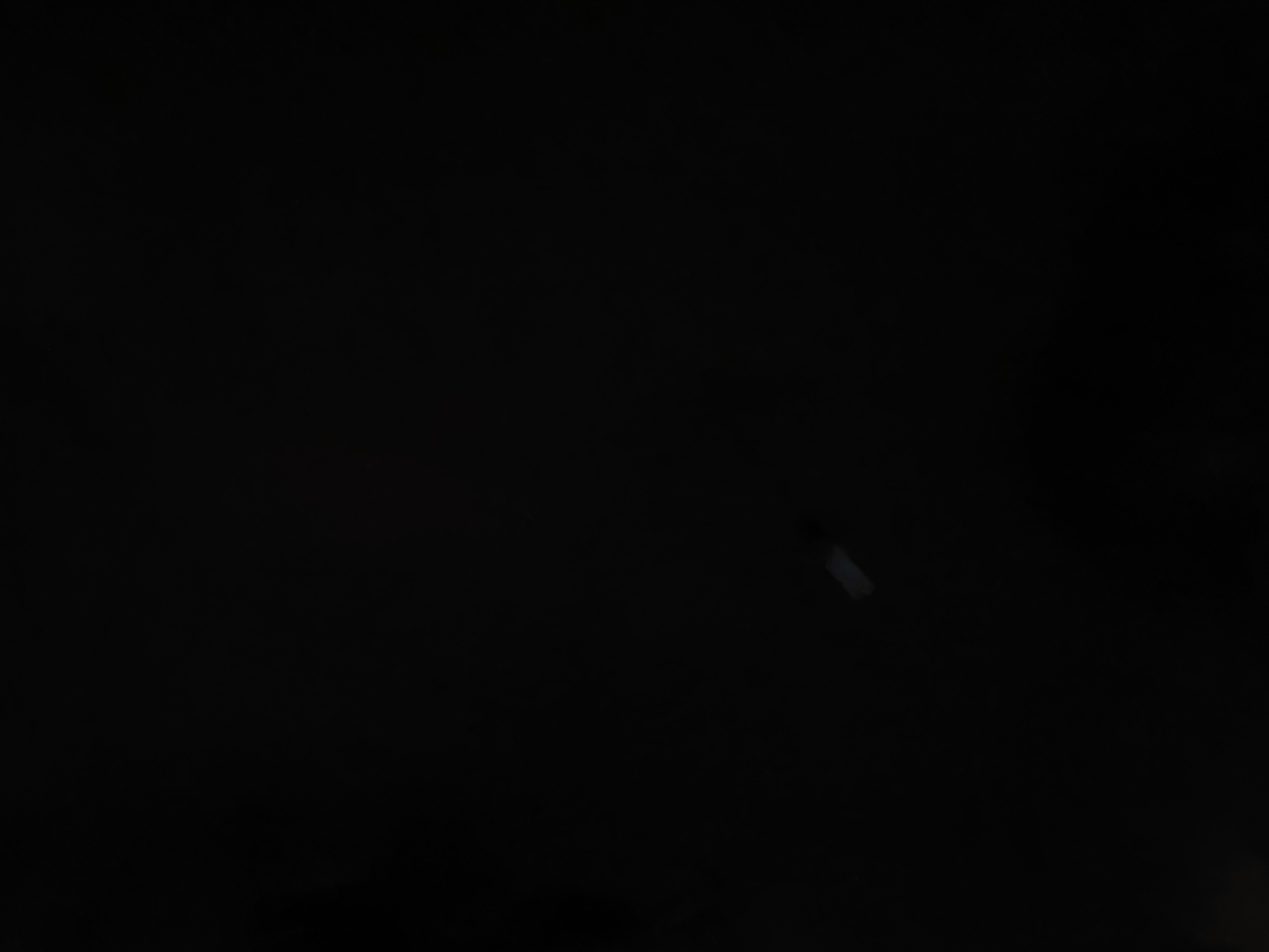 IMG_20210831_205027.jpg