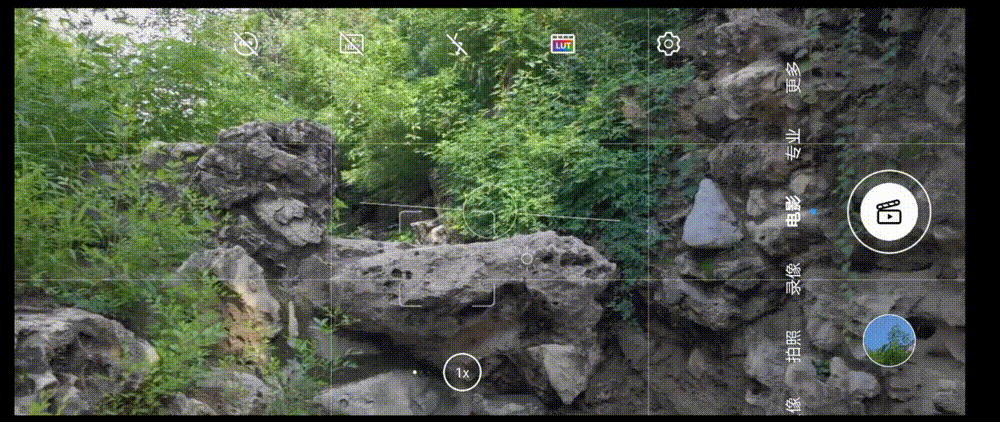 1630417044544.gif