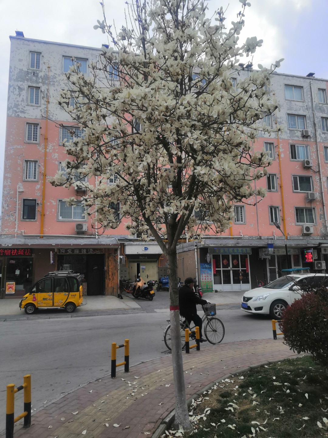 IMG_20210310_154437.jpg