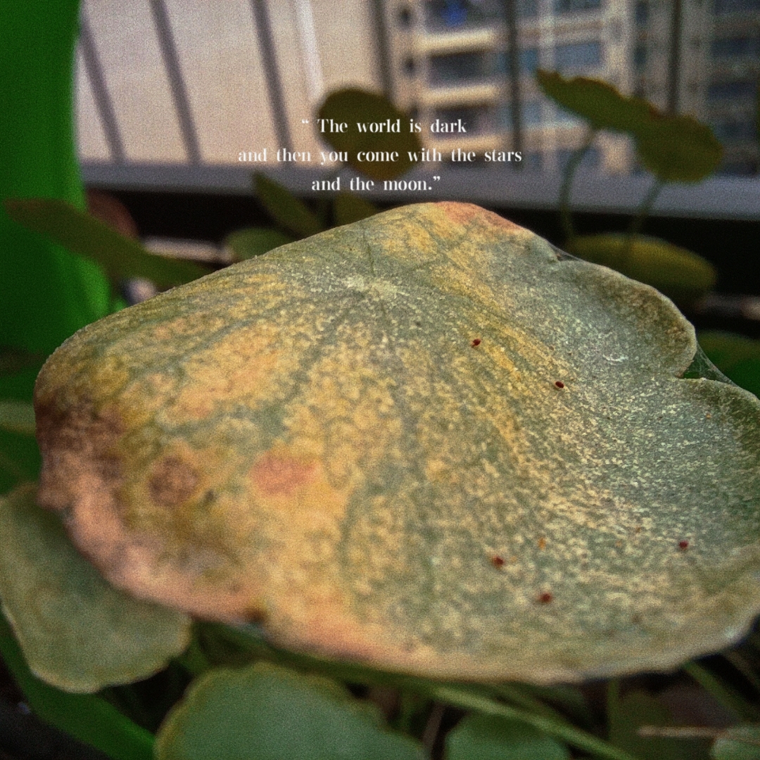 retouch_2021090110581329.jpg