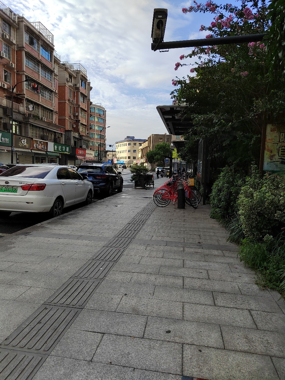 IMG_20210825_072044.jpg