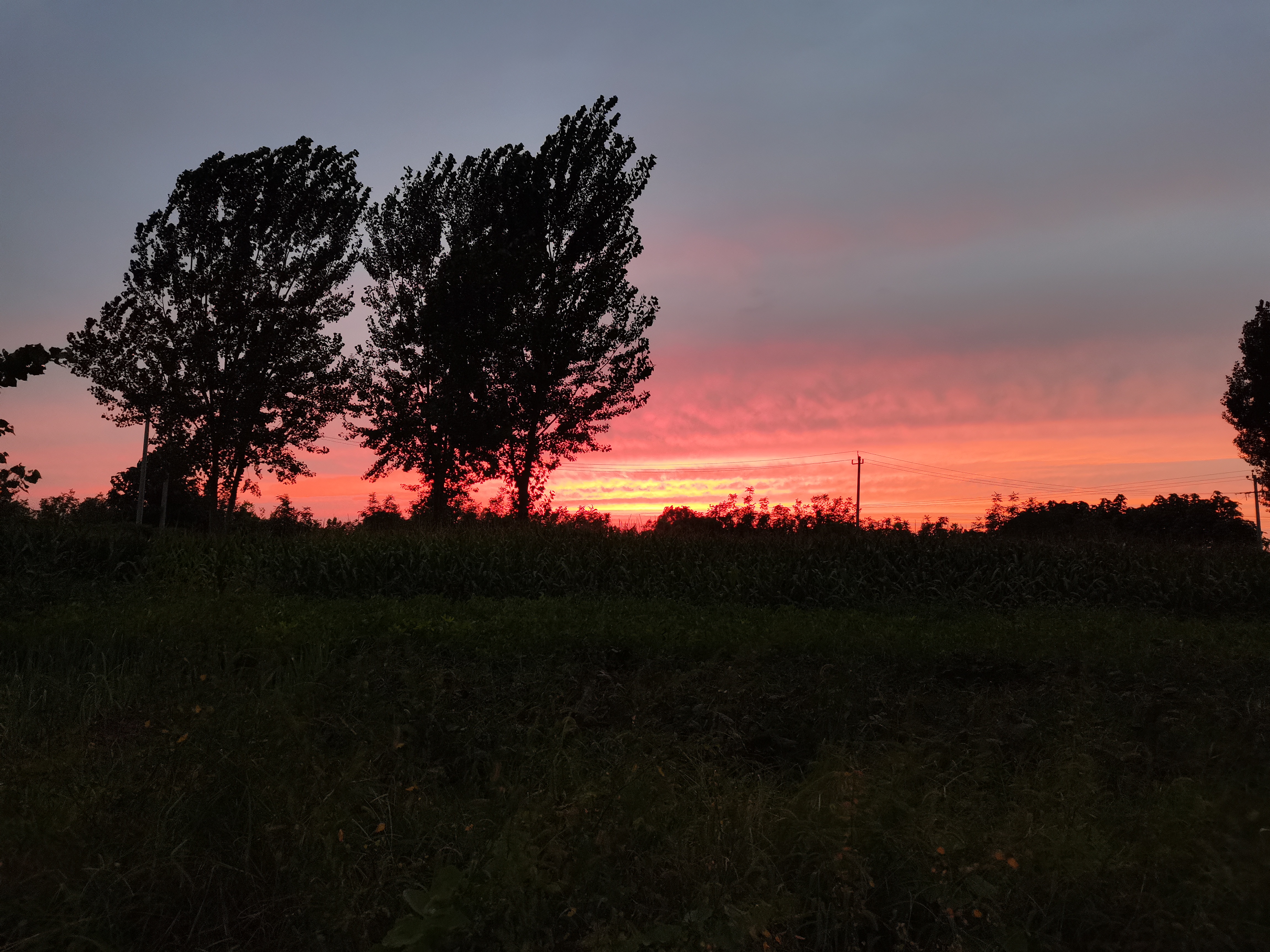 IMG_20210826_190517.jpg