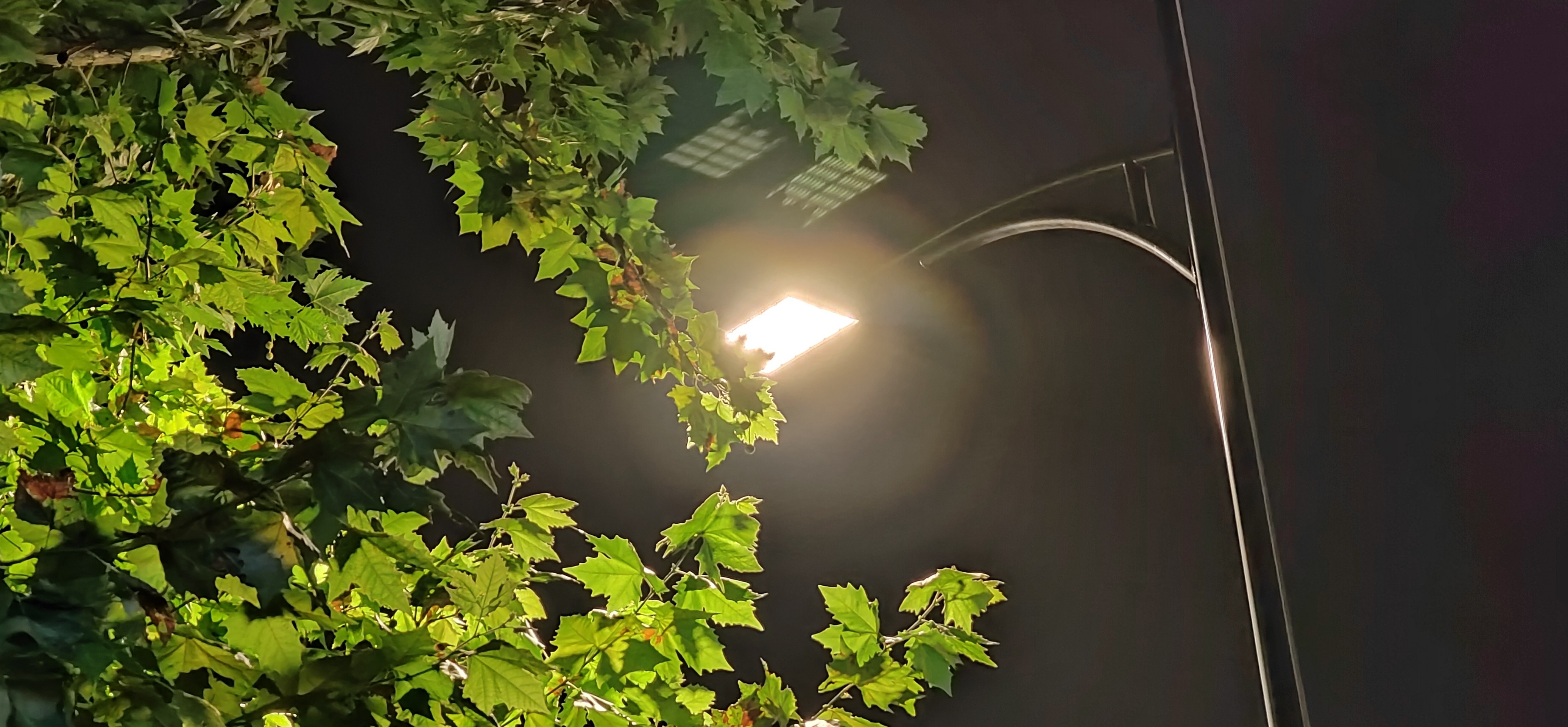 IMG_20210901_202012.jpg