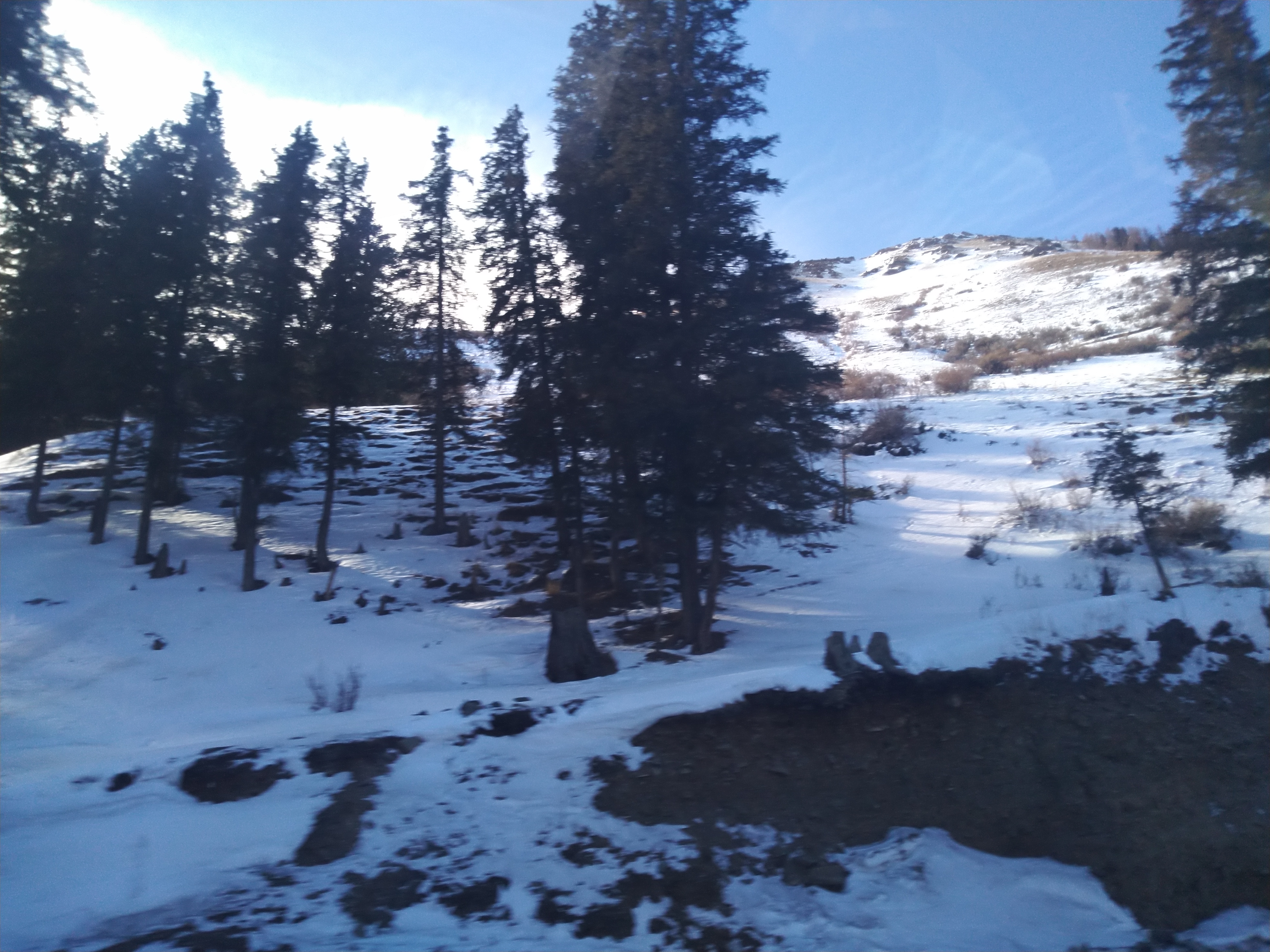 IMG_20191124_123759.jpg