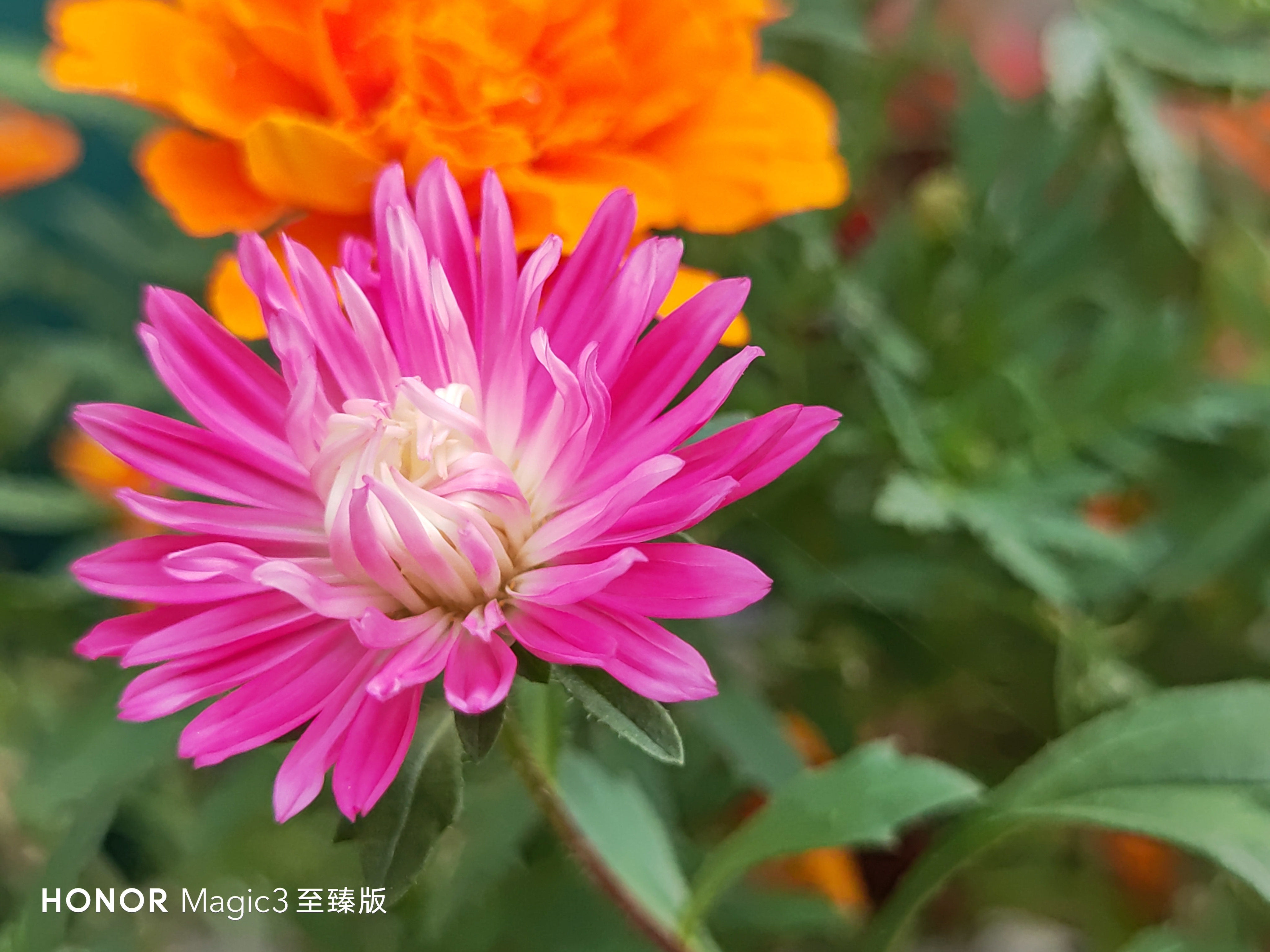 IMG_20210901_112645.jpg