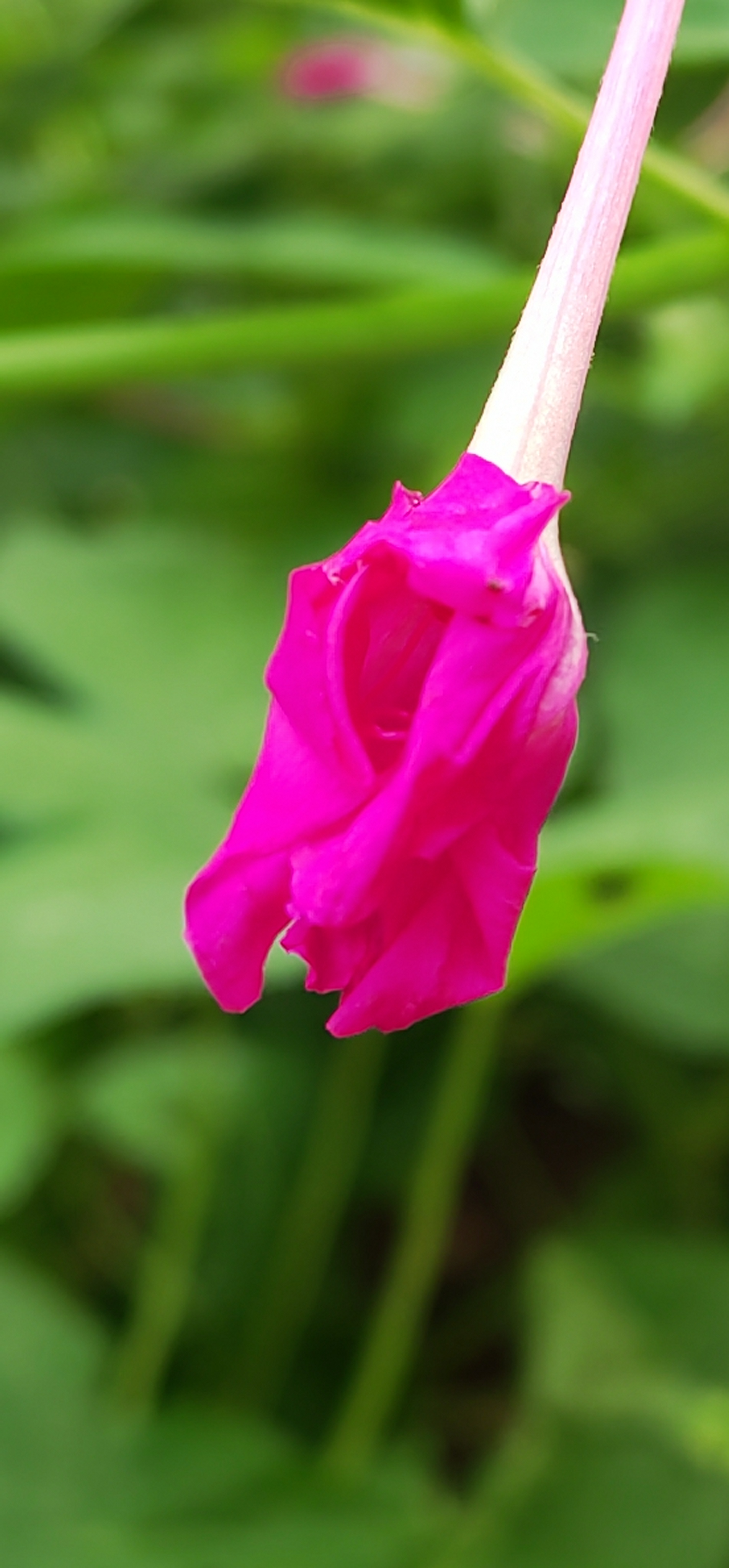 IMG_20210902_151503.jpg