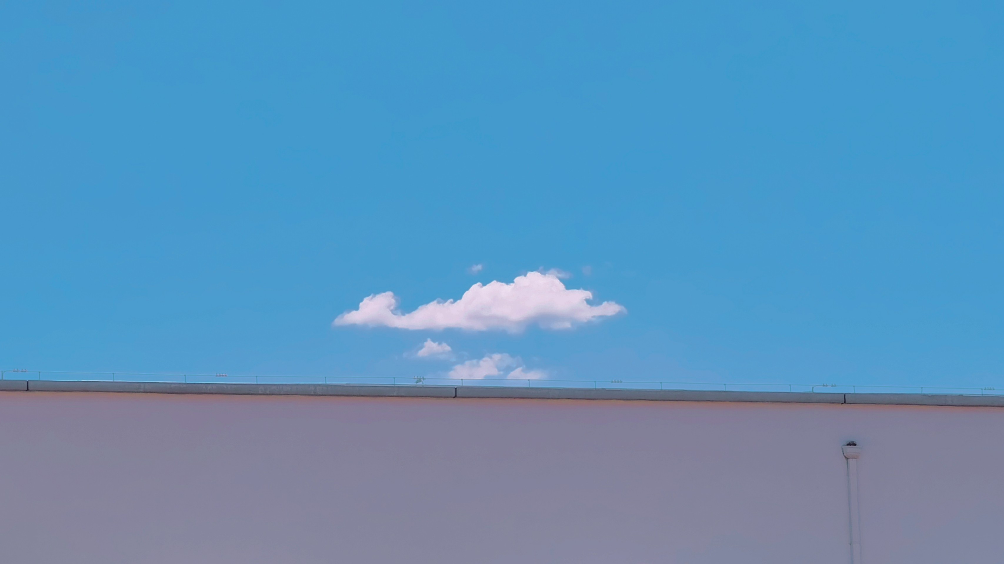 retouch_2021080213221691.jpg