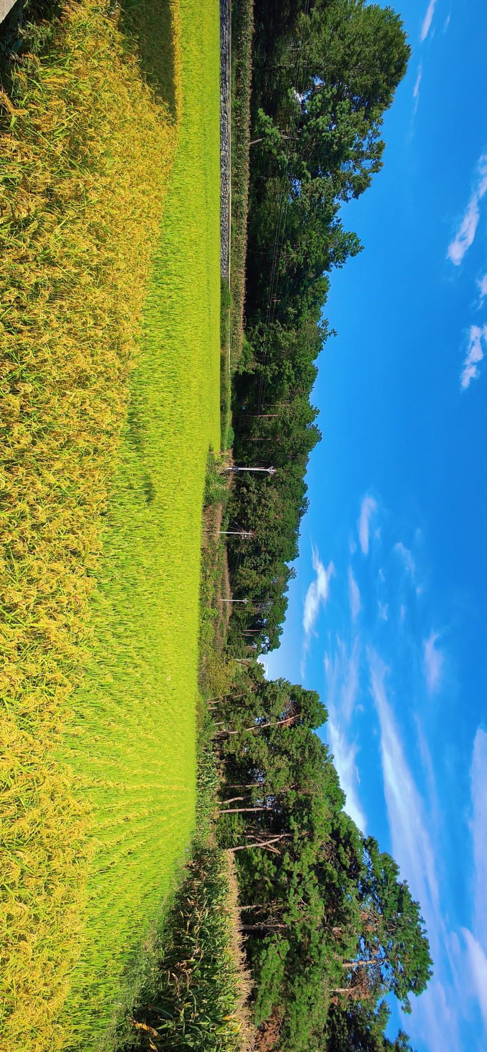 retouch_2021090220463342.jpg