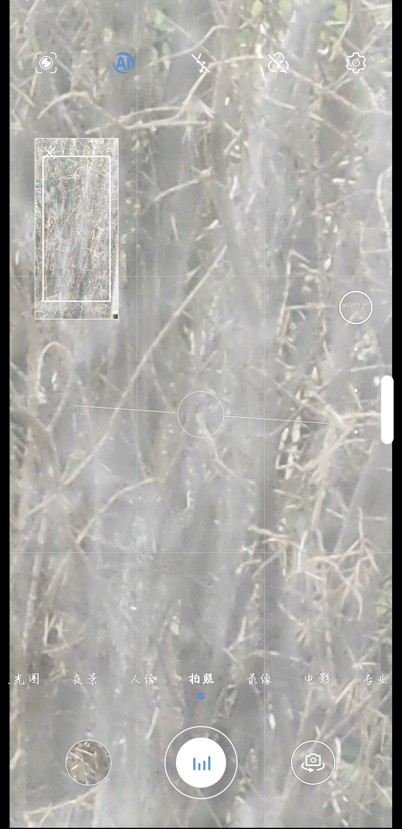 Screenshot_20210903_152122.jpg