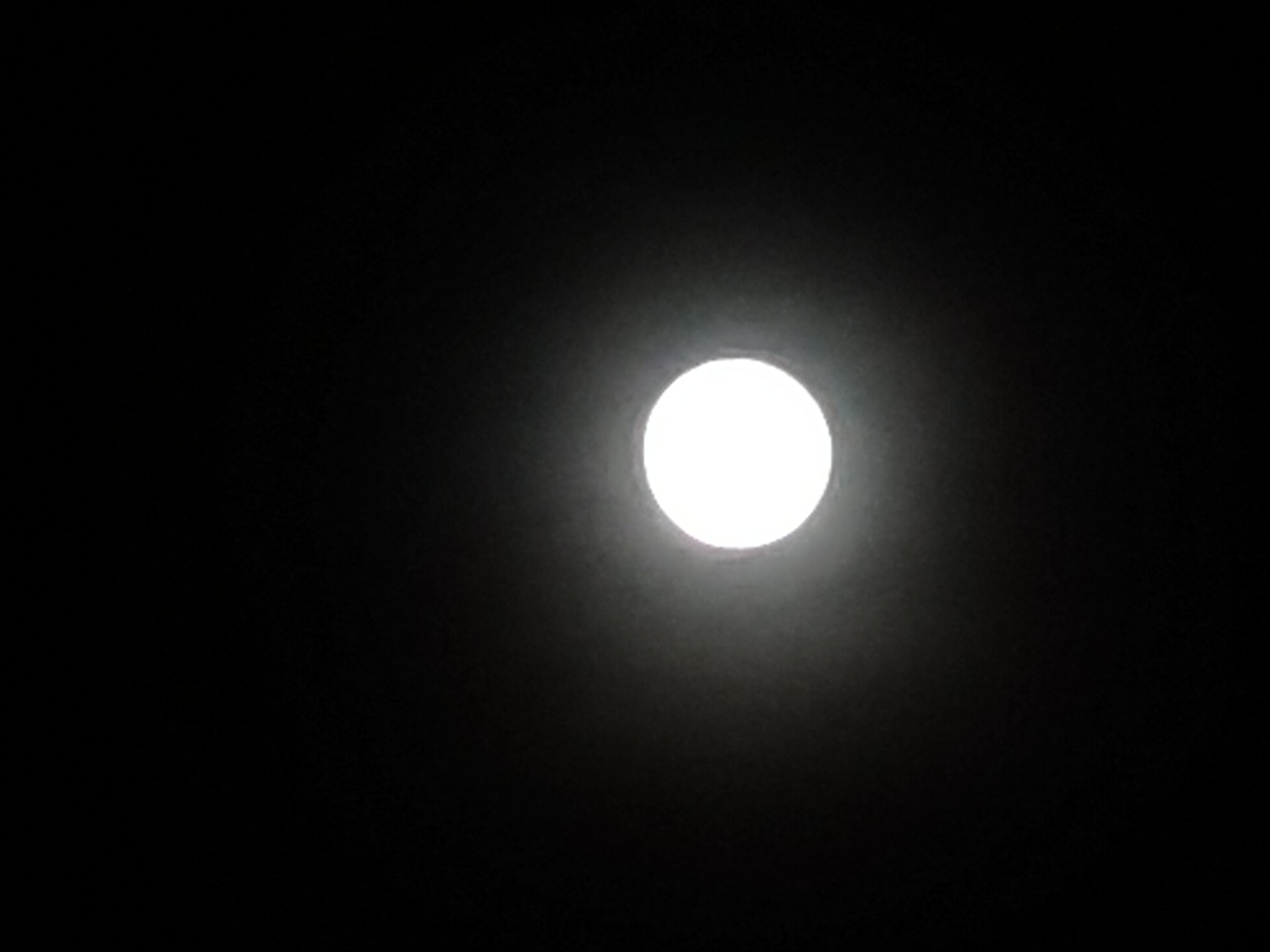IMG_20210823_203226.jpg