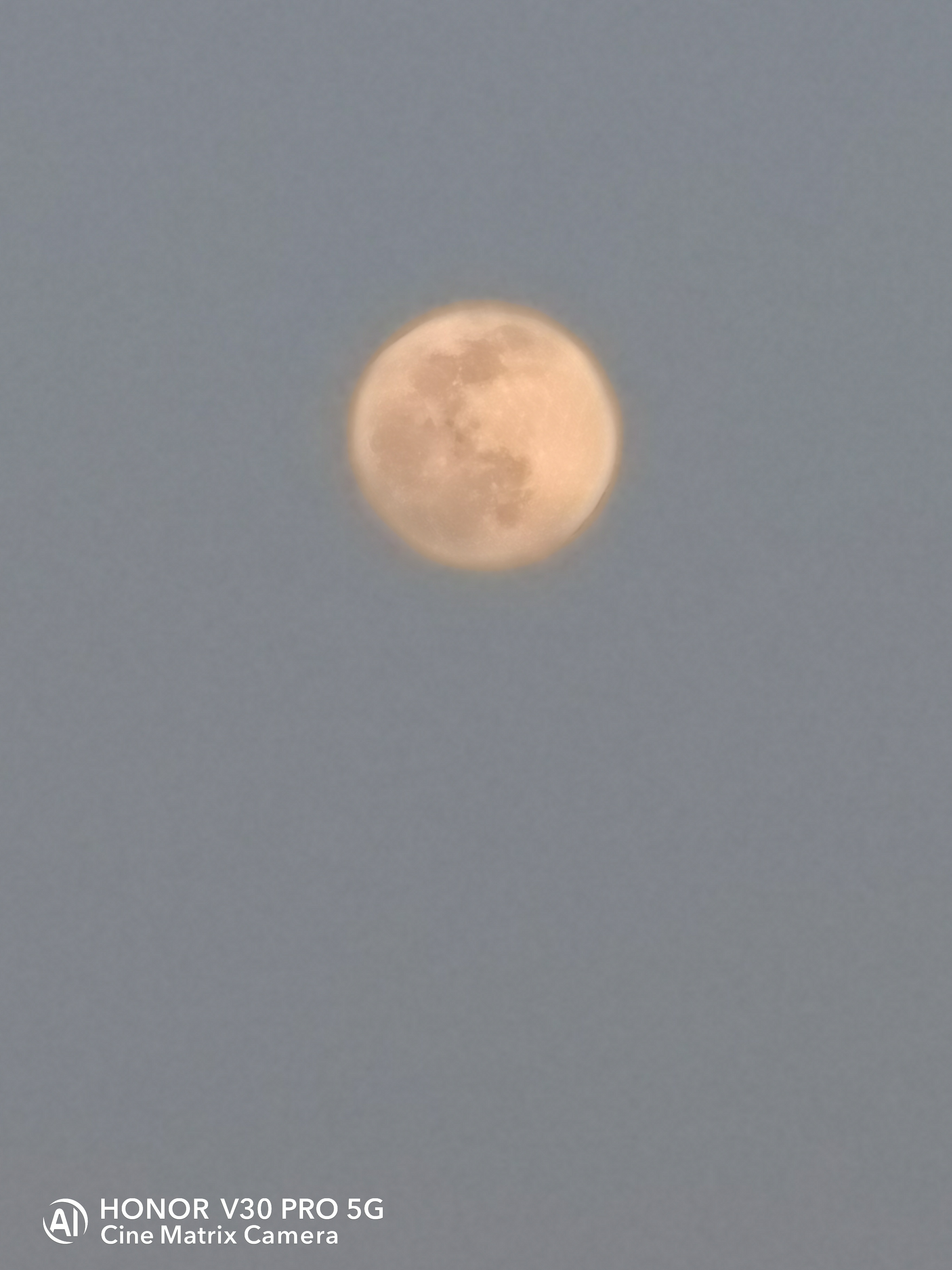 IMG_20210226_175437.jpg