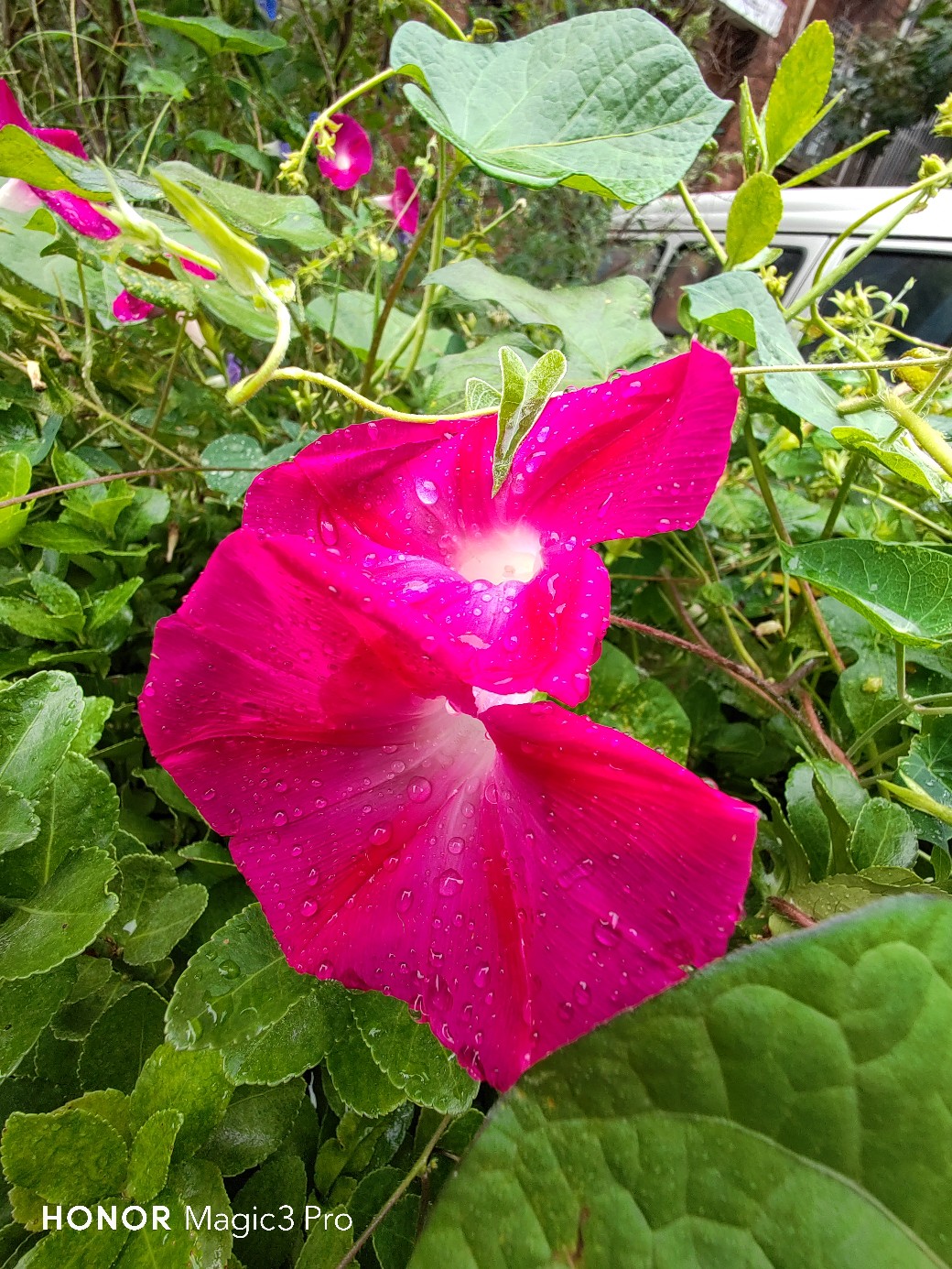 IMG_20210904_093212.jpg