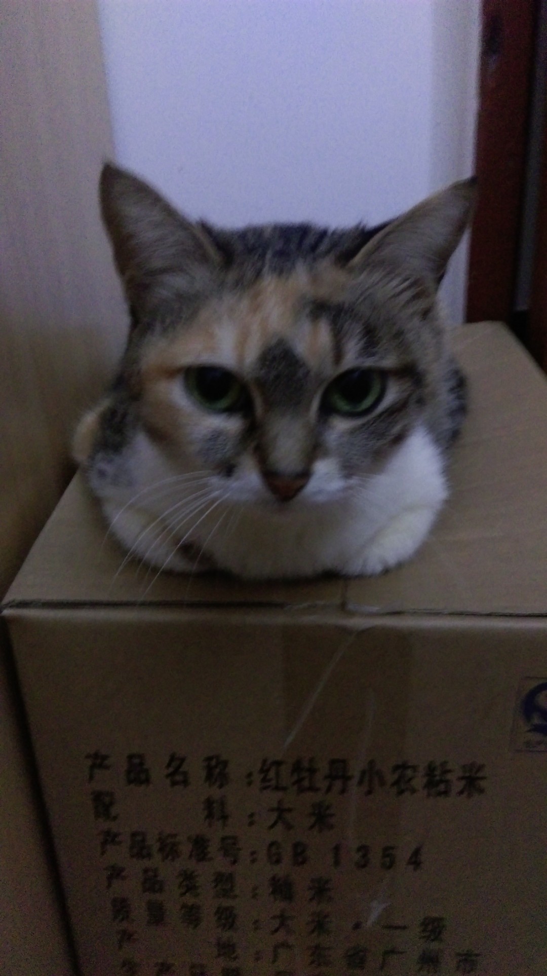 IMAG0672.jpg
