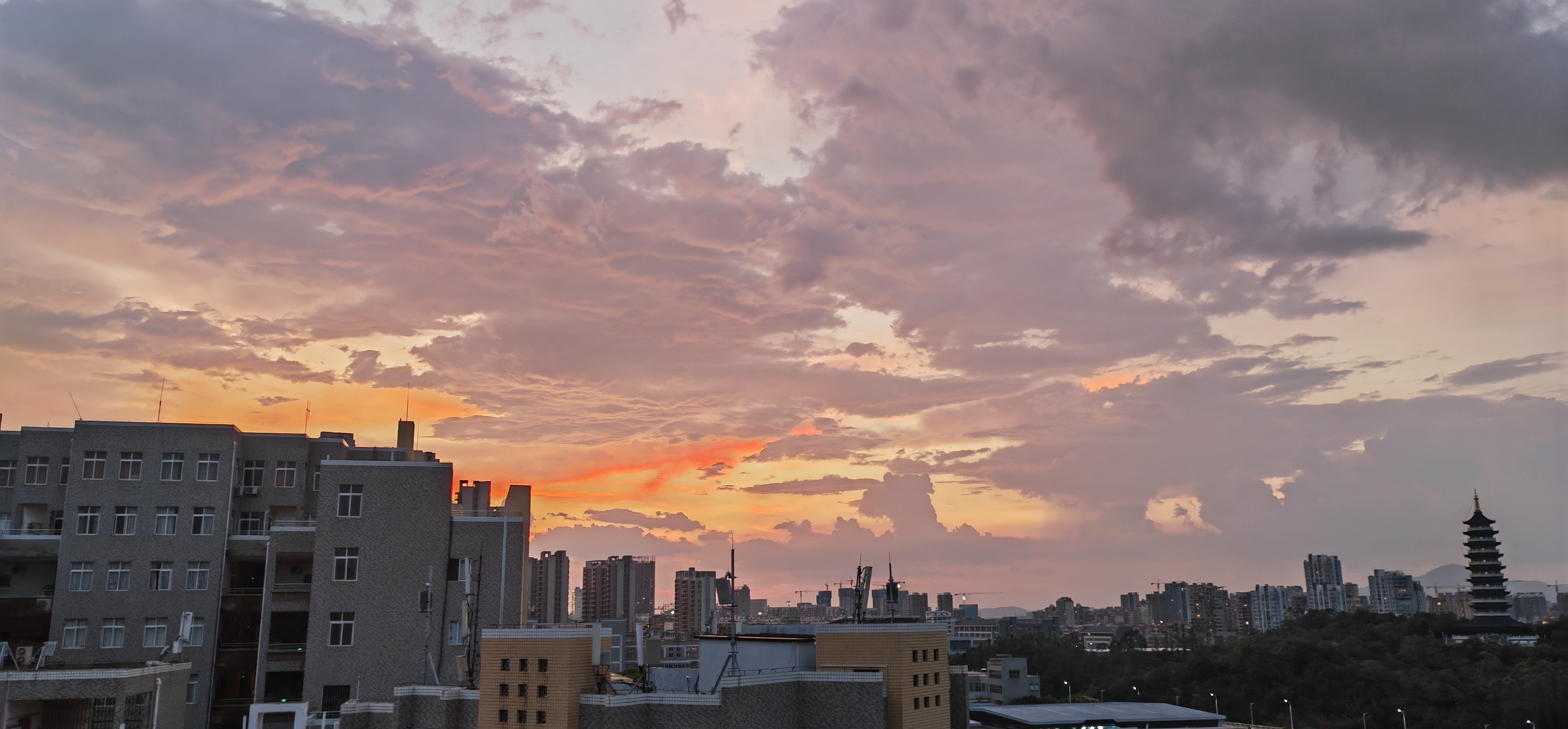 IMG_20210904_184825.jpg
