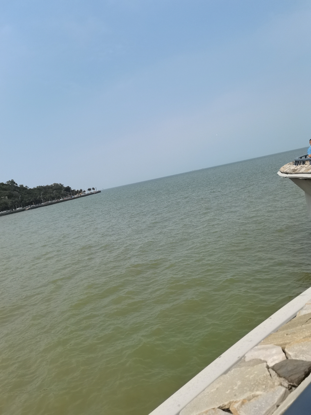 IMG_20210501_145857.jpg
