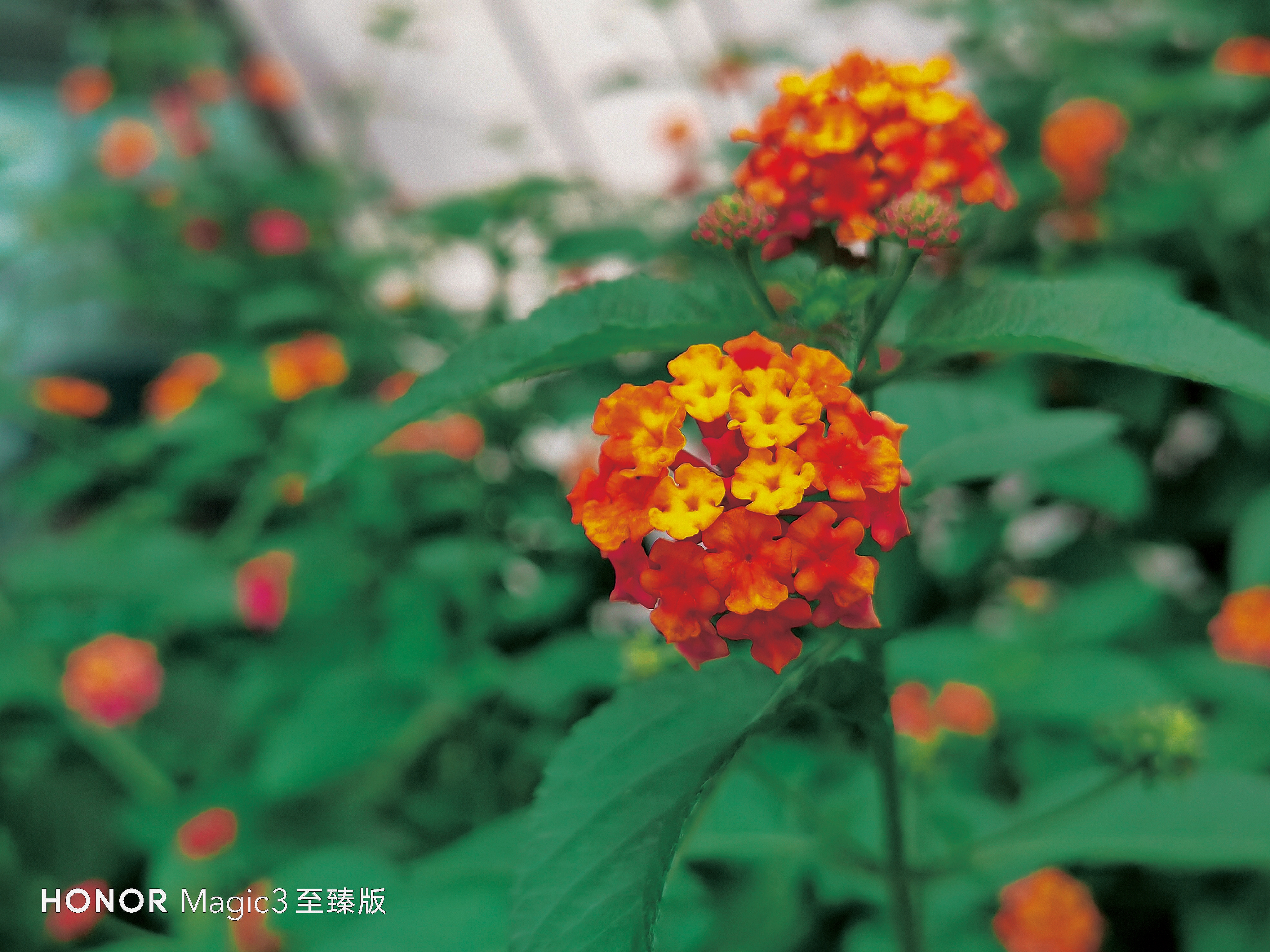 retouch_2021090511123497.jpg