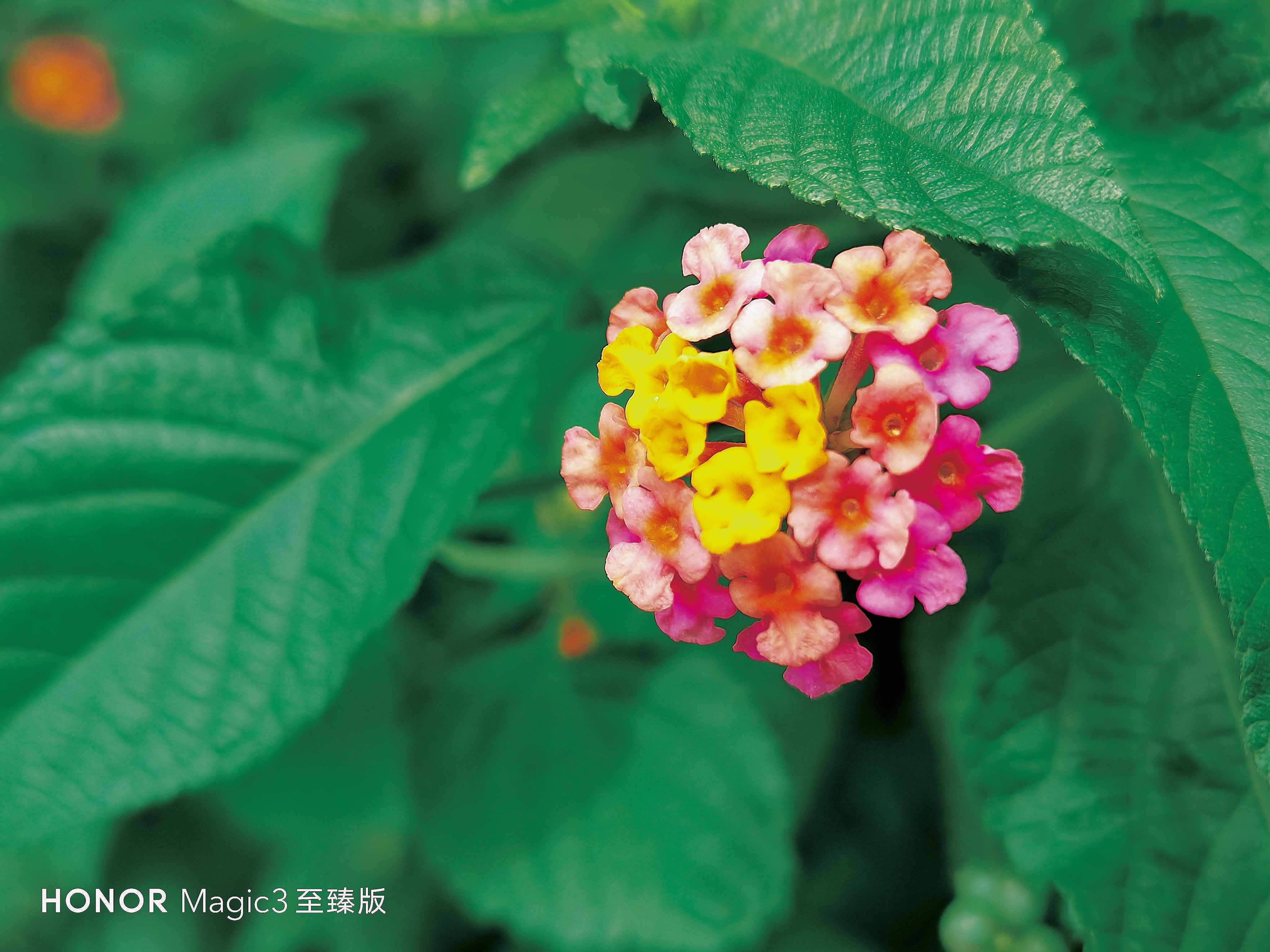 retouch_2021090511133499.jpg