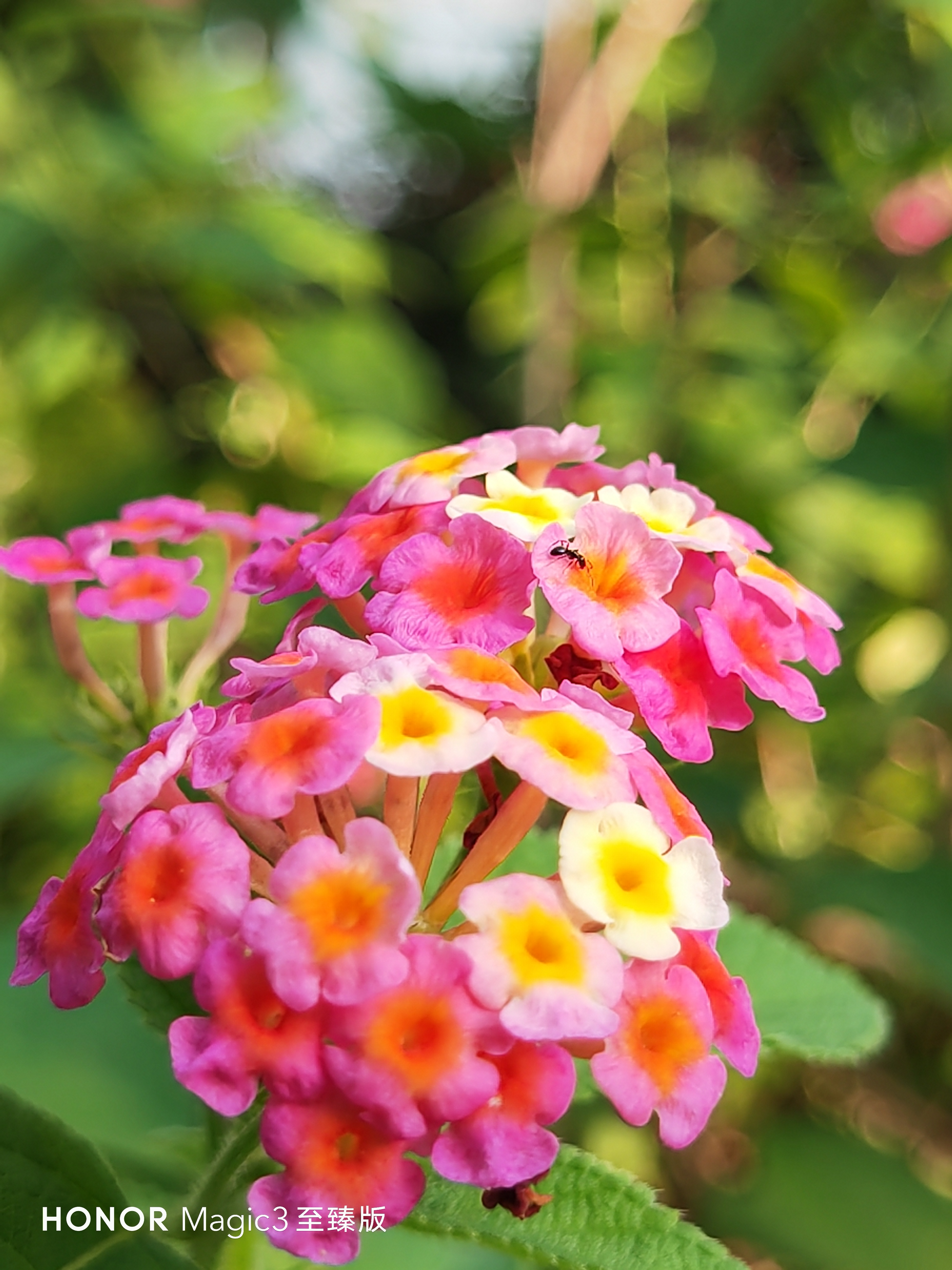IMG_20210905_084422.jpg