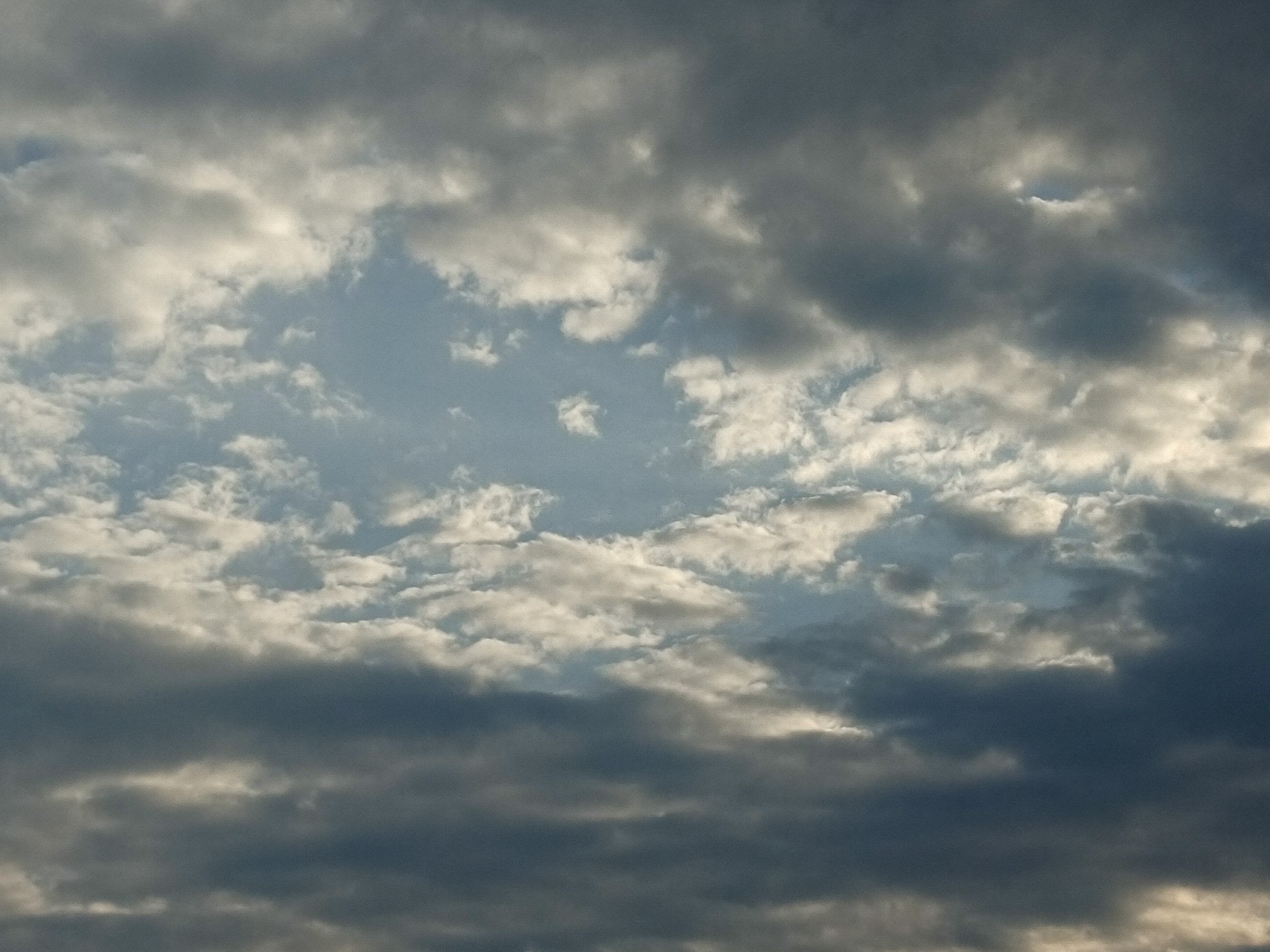 IMG_20210731_175552.jpg