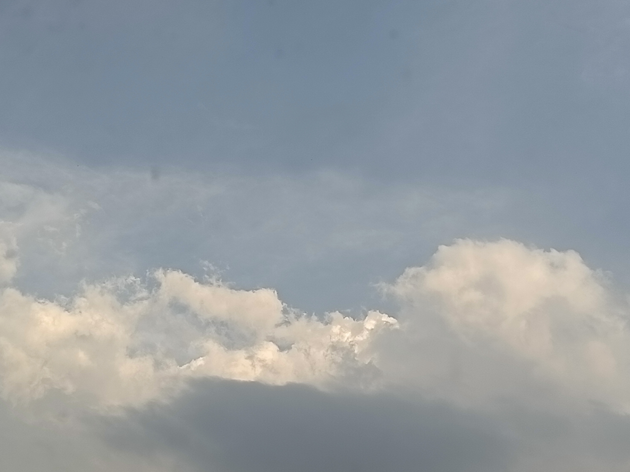 IMG_20210801_181942.jpg