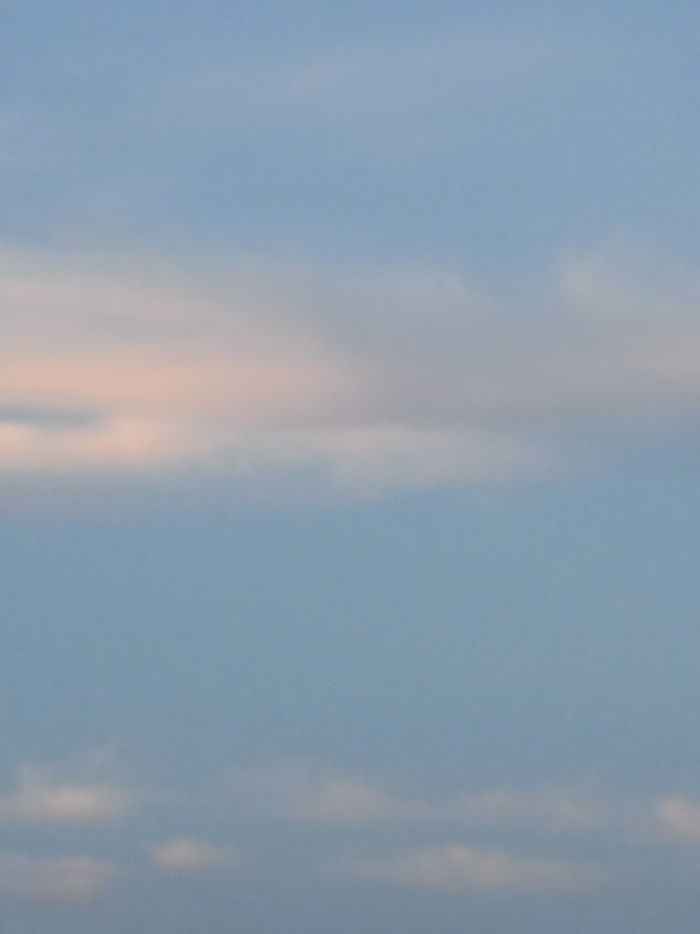 IMG_20210728_190115.jpg