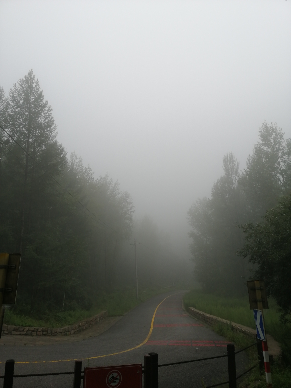 IMG_20210815_101614.jpg
