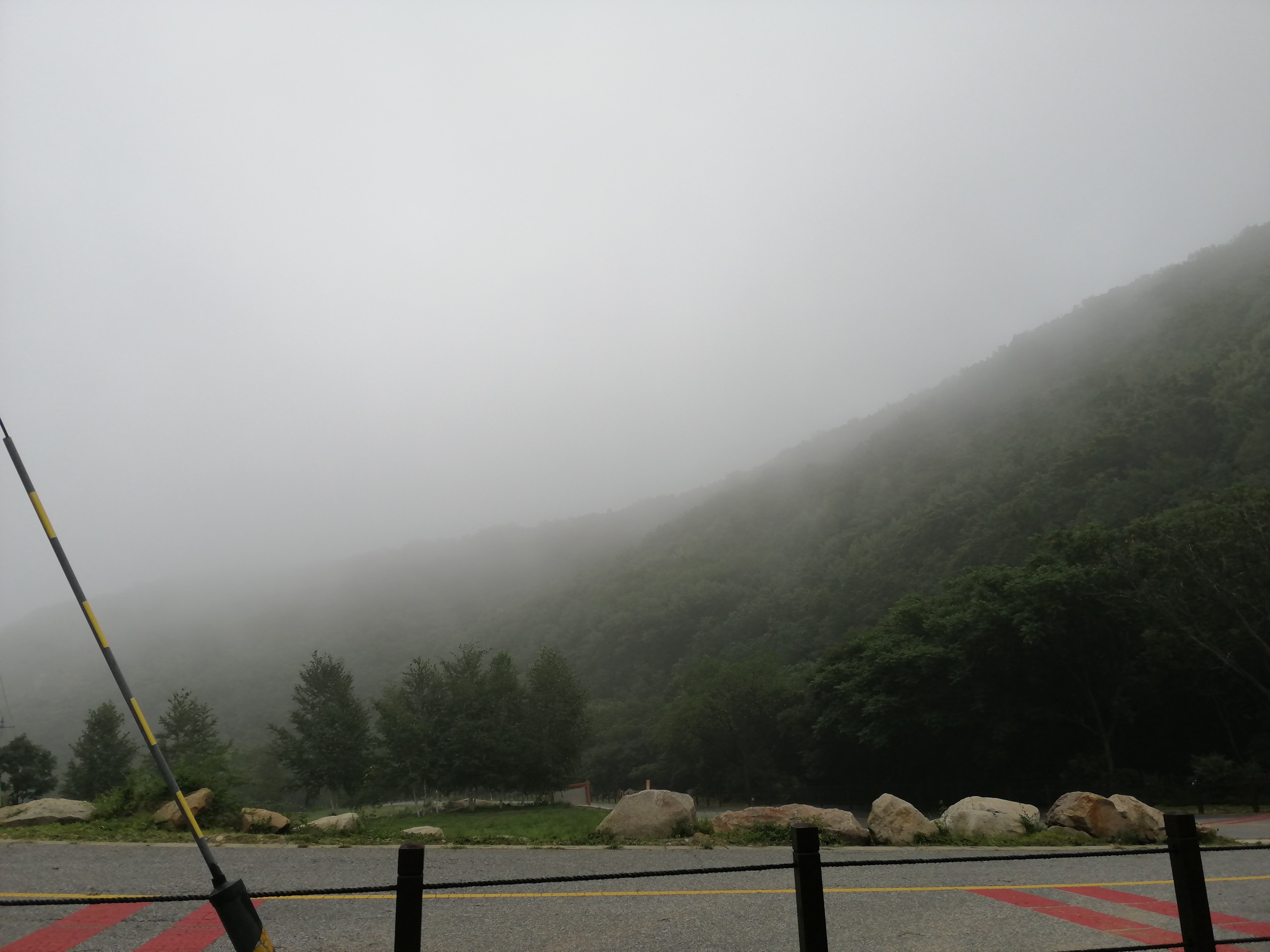 IMG_20210815_135448.jpg